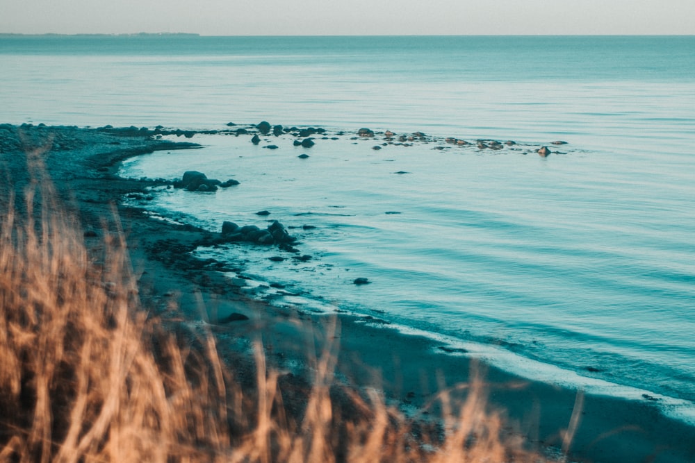 a body of water sitting next to a sandy beach