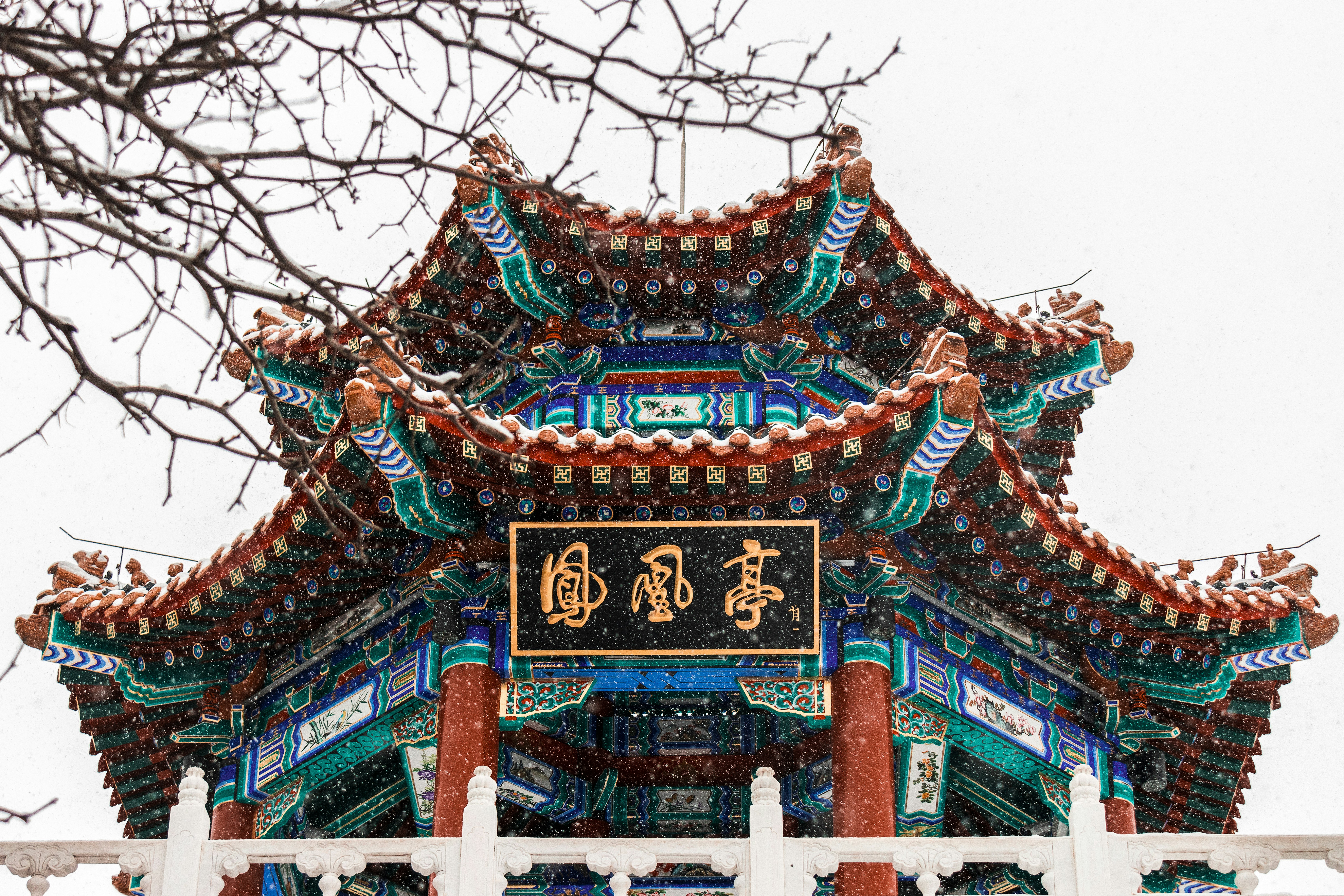 Photo by juliuscarmine