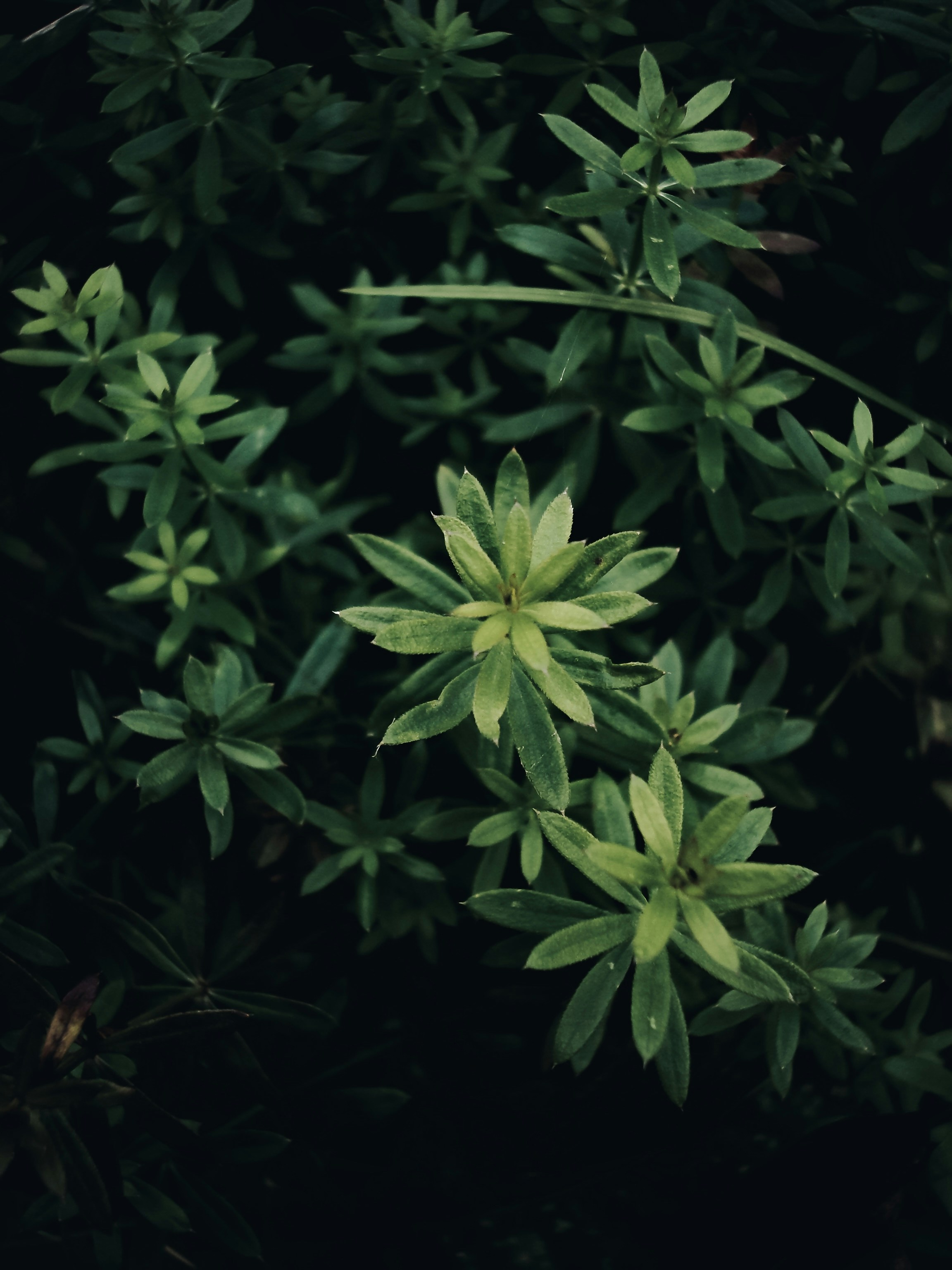 Photo by eugene_golovesov