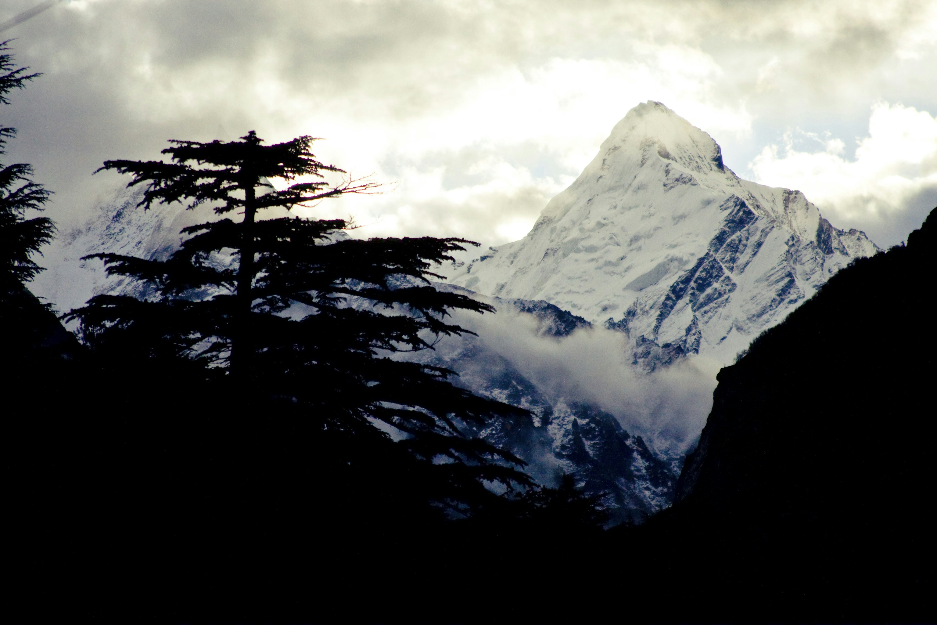 Photo by raimondklavins