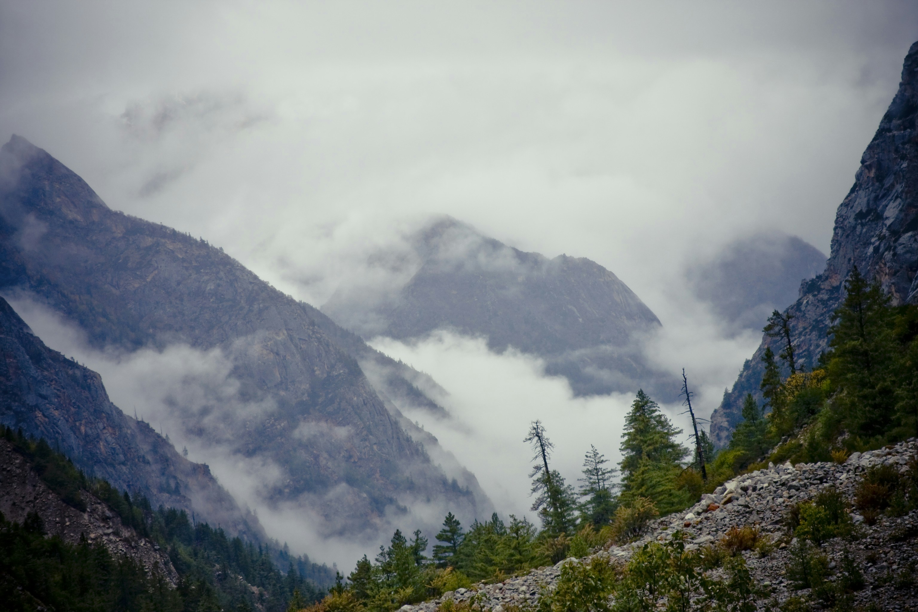 Photo by raimondklavins