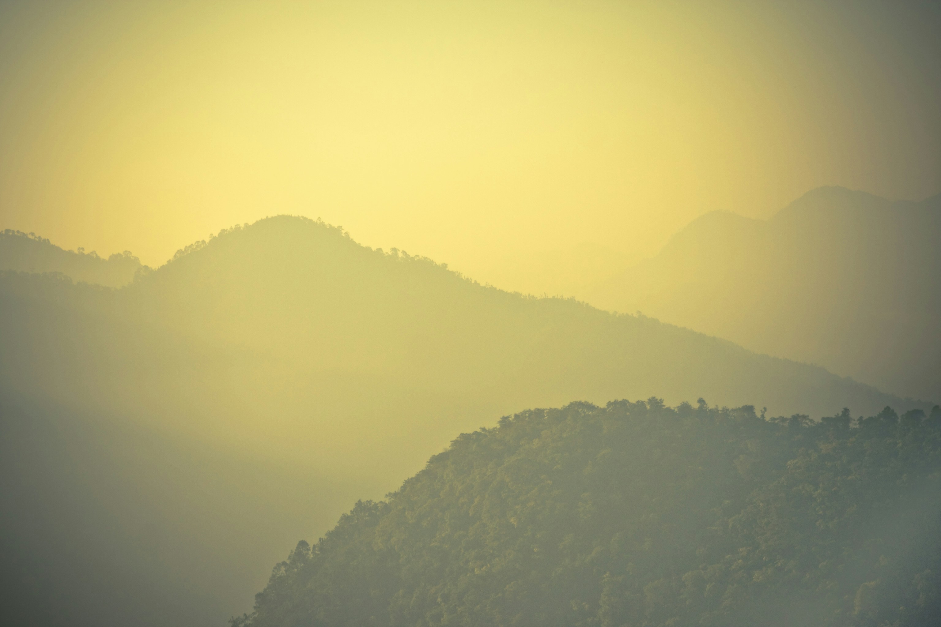 Photo by raimondklavins