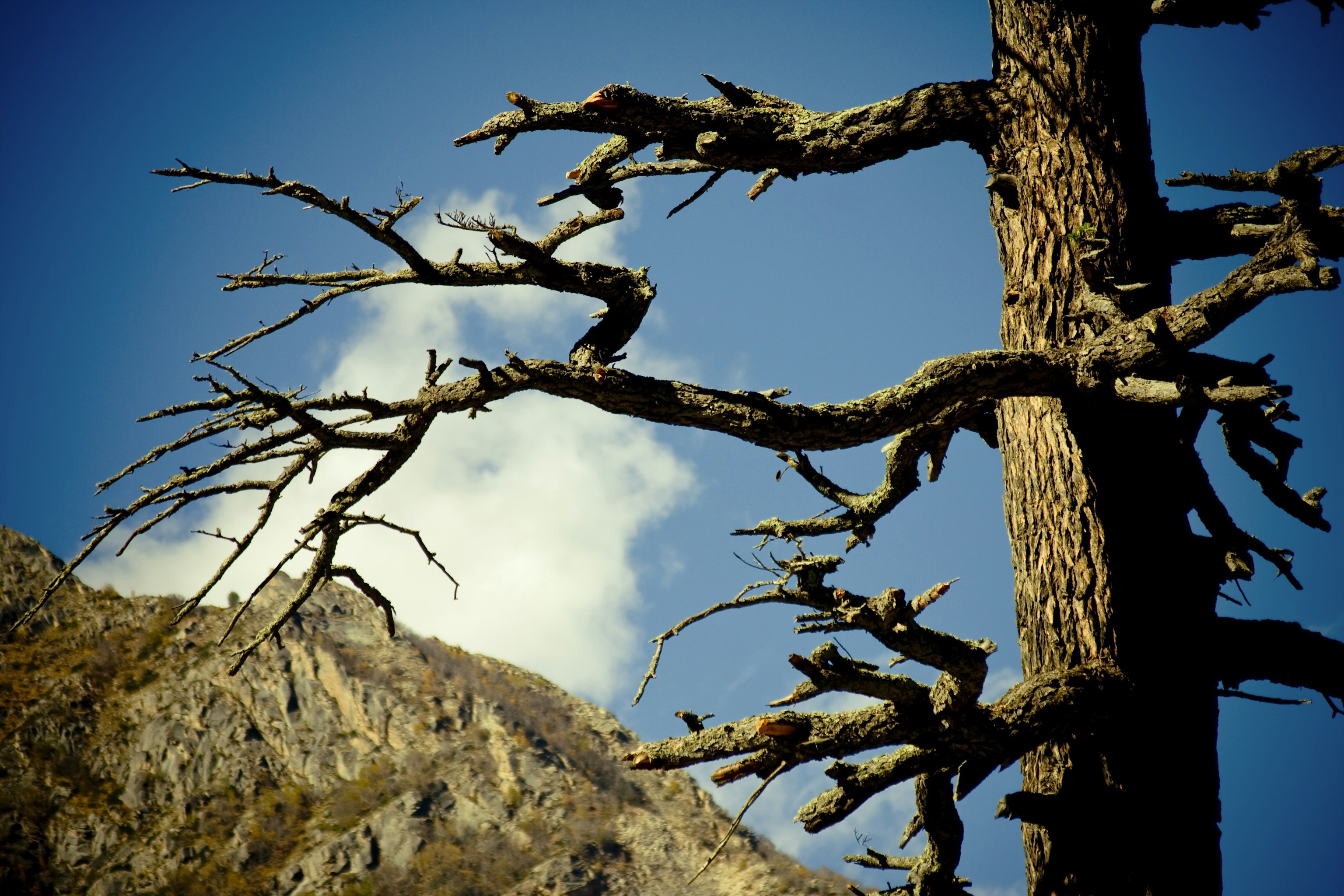 Photo by raimondklavins