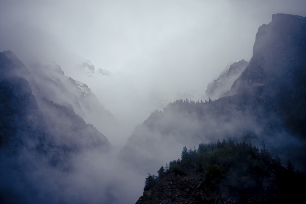 a foggy mountain with trees and mountains in the background
