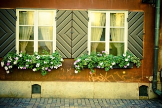 Charming townhouse facade with flower boxes on windows.