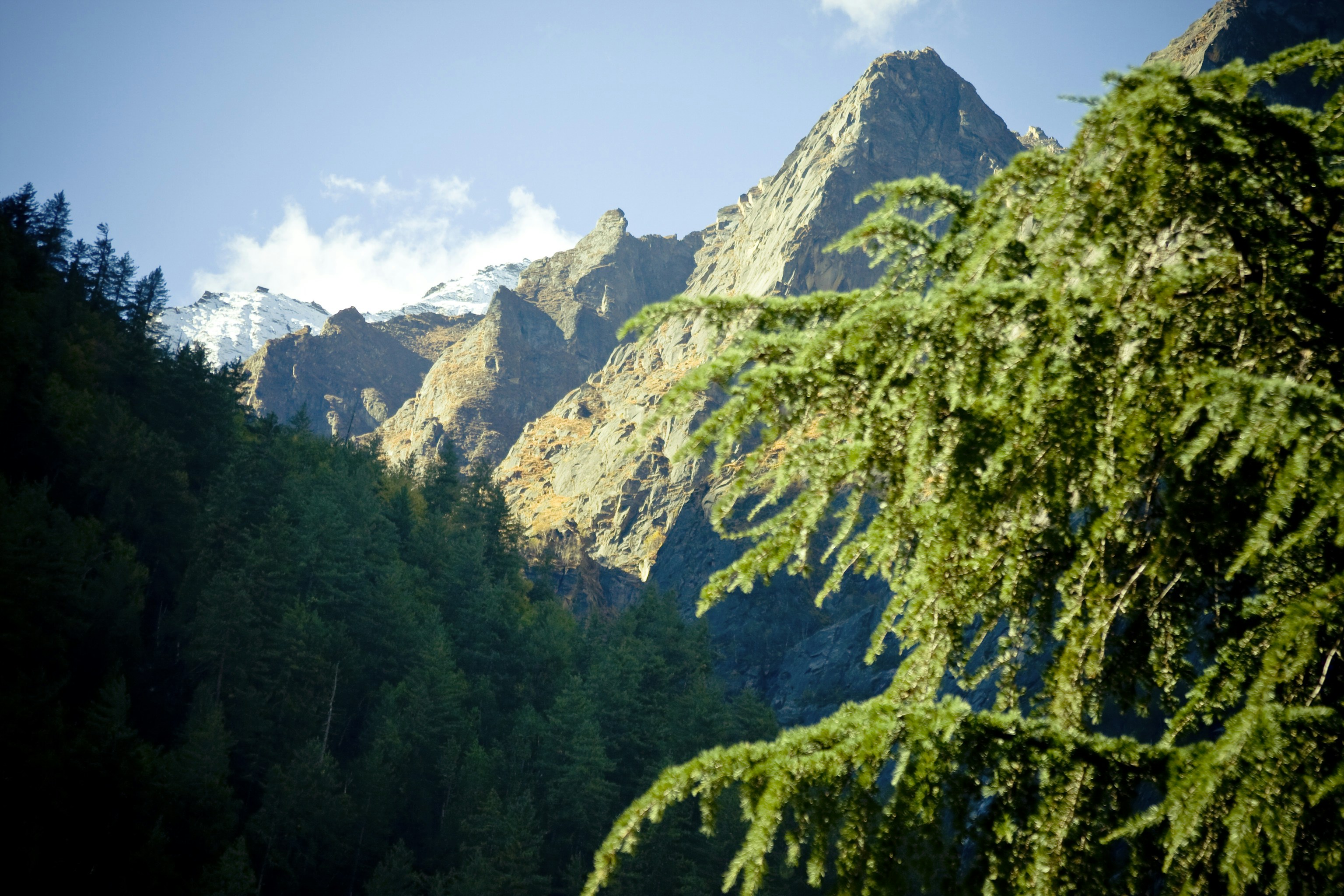 Photo by raimondklavins