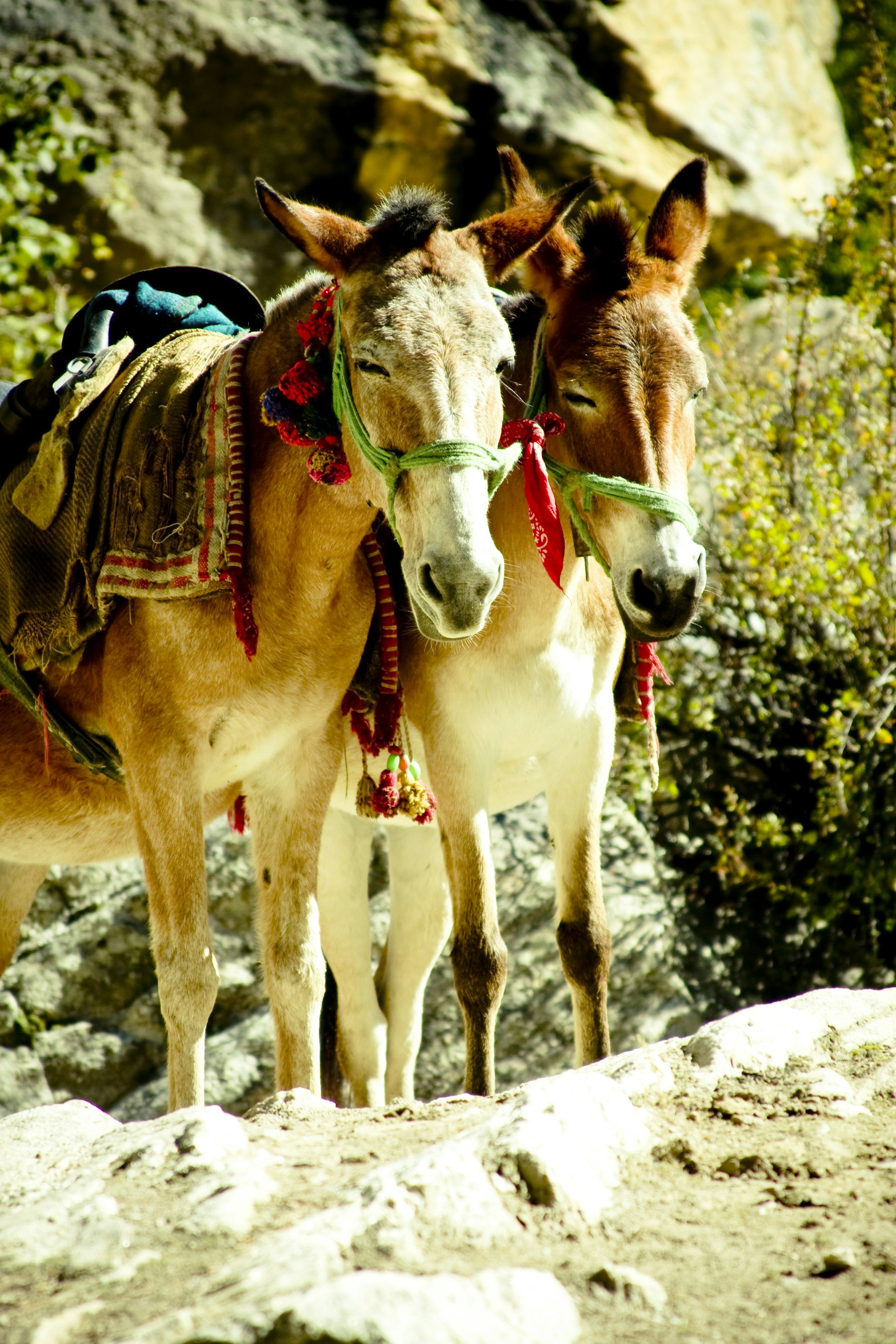 Photo by raimondklavins