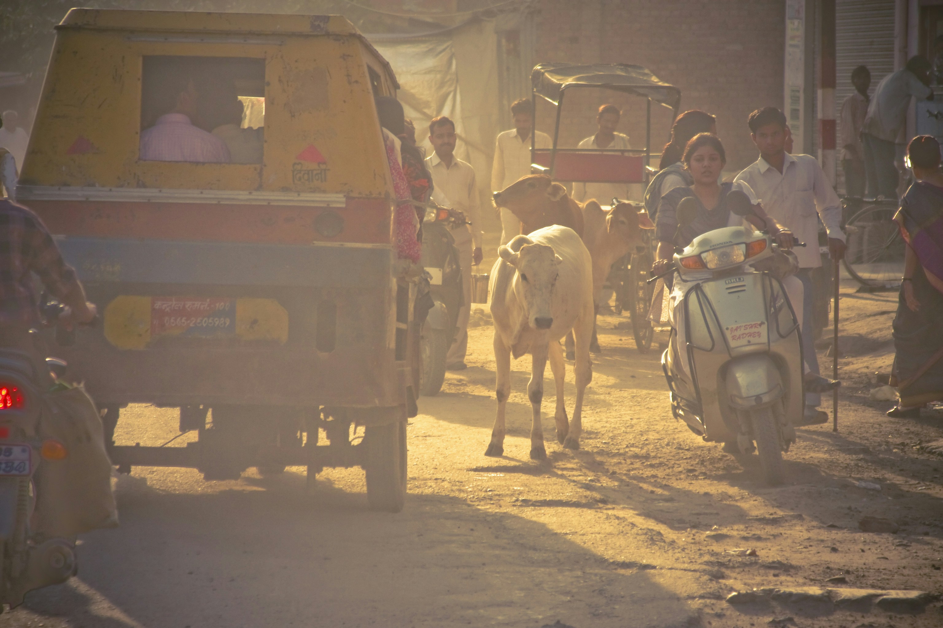 Photo by raimondklavins