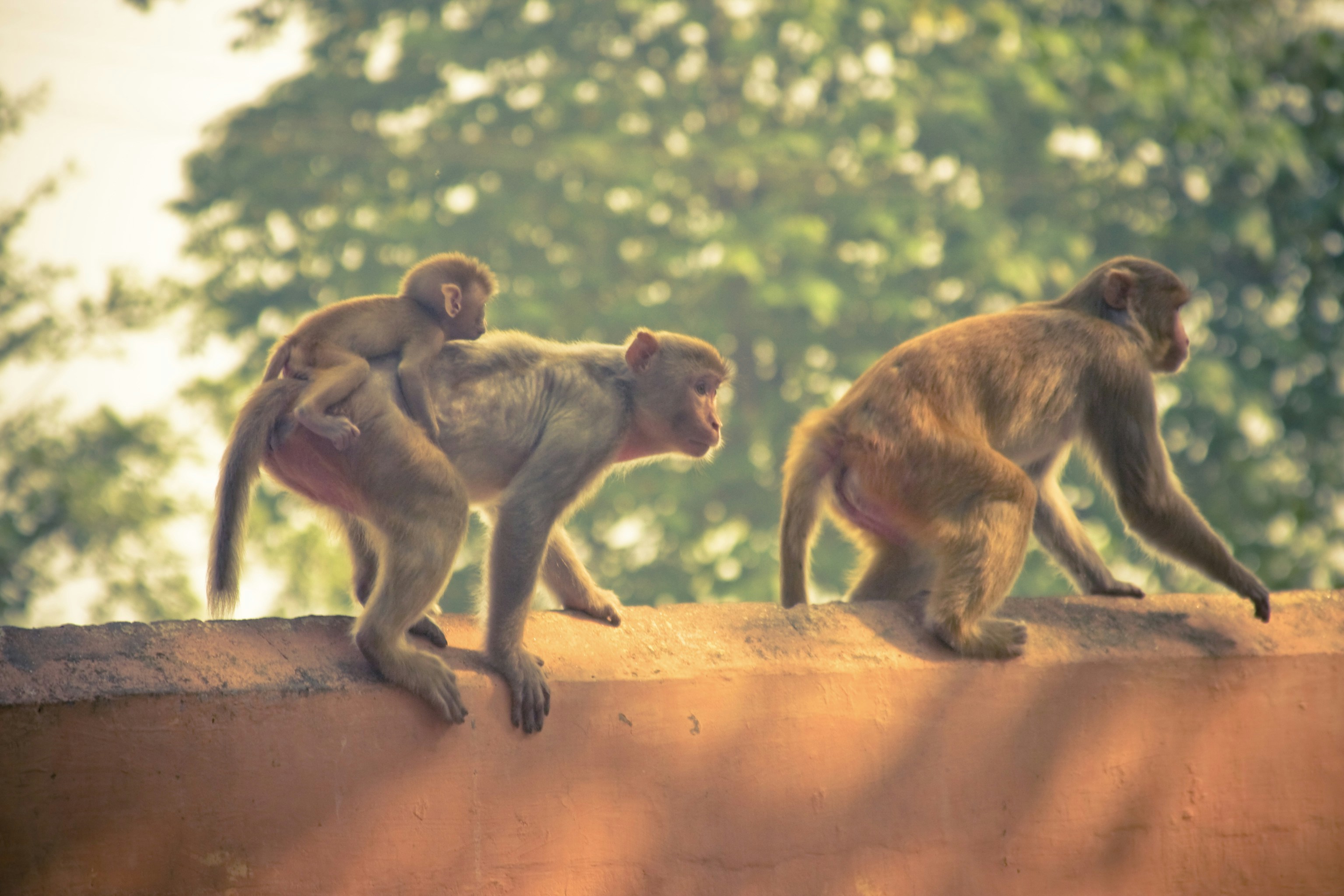 Photo by raimondklavins