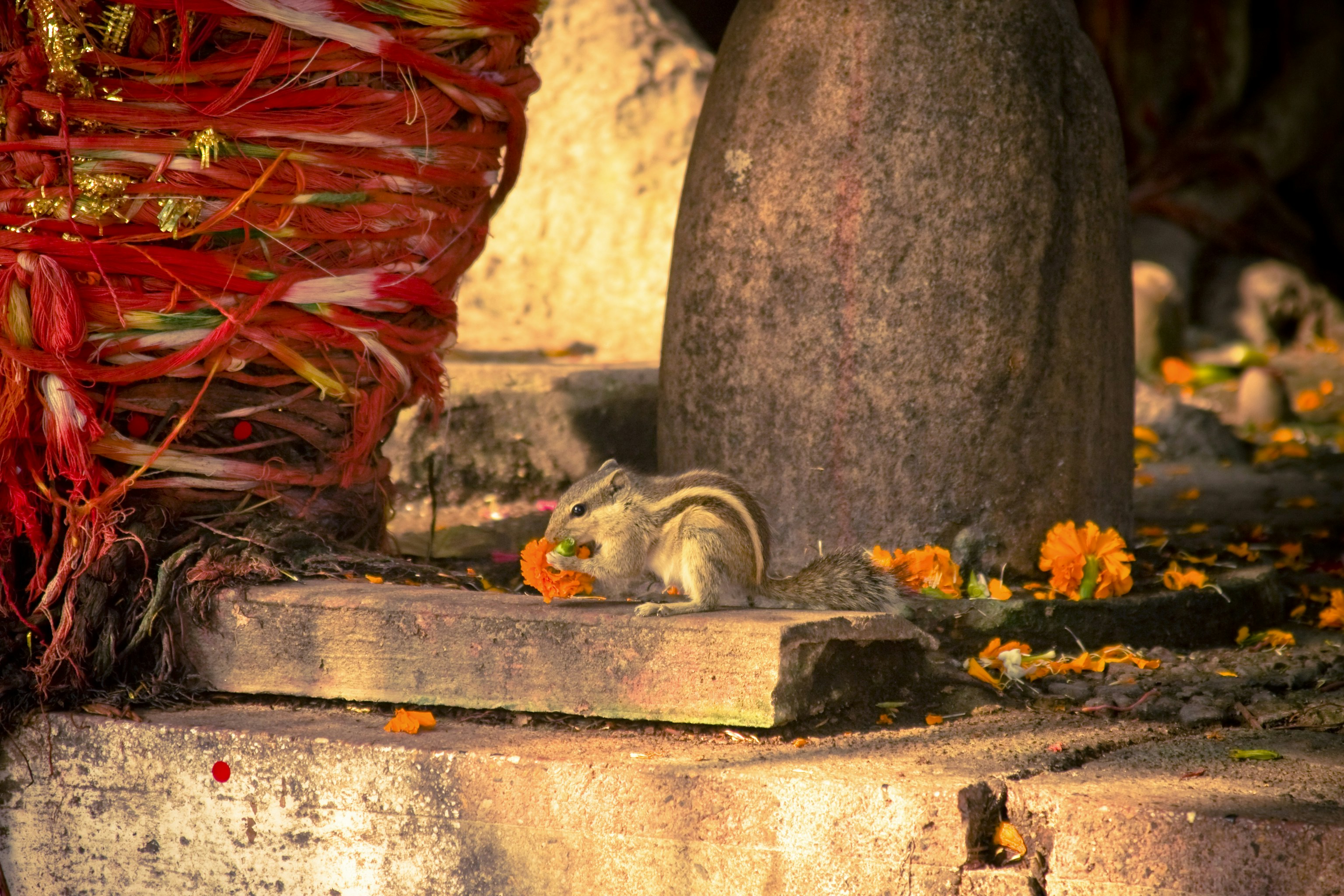 Photo by raimondklavins