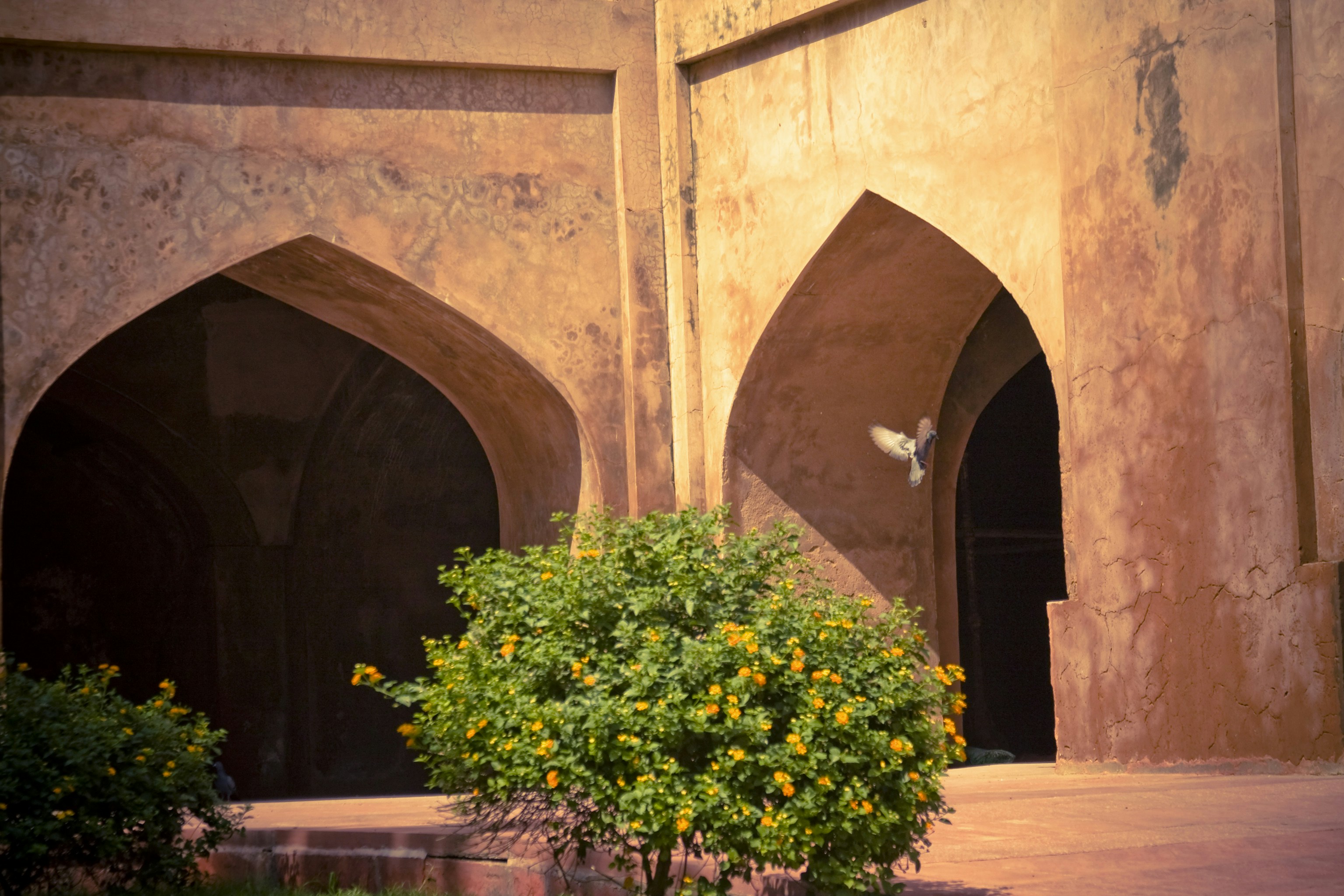 Photo by raimondklavins