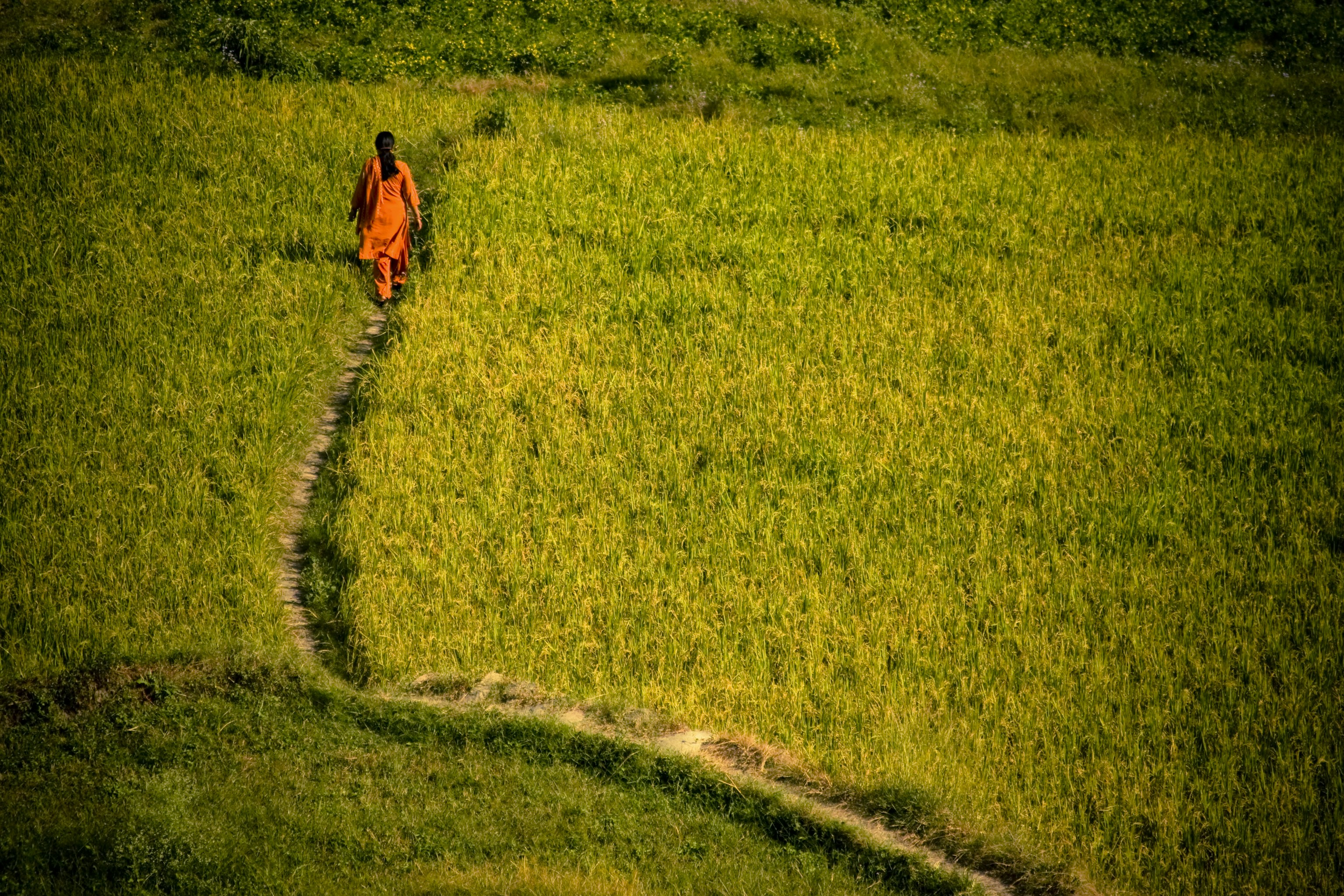 Photo by raimondklavins