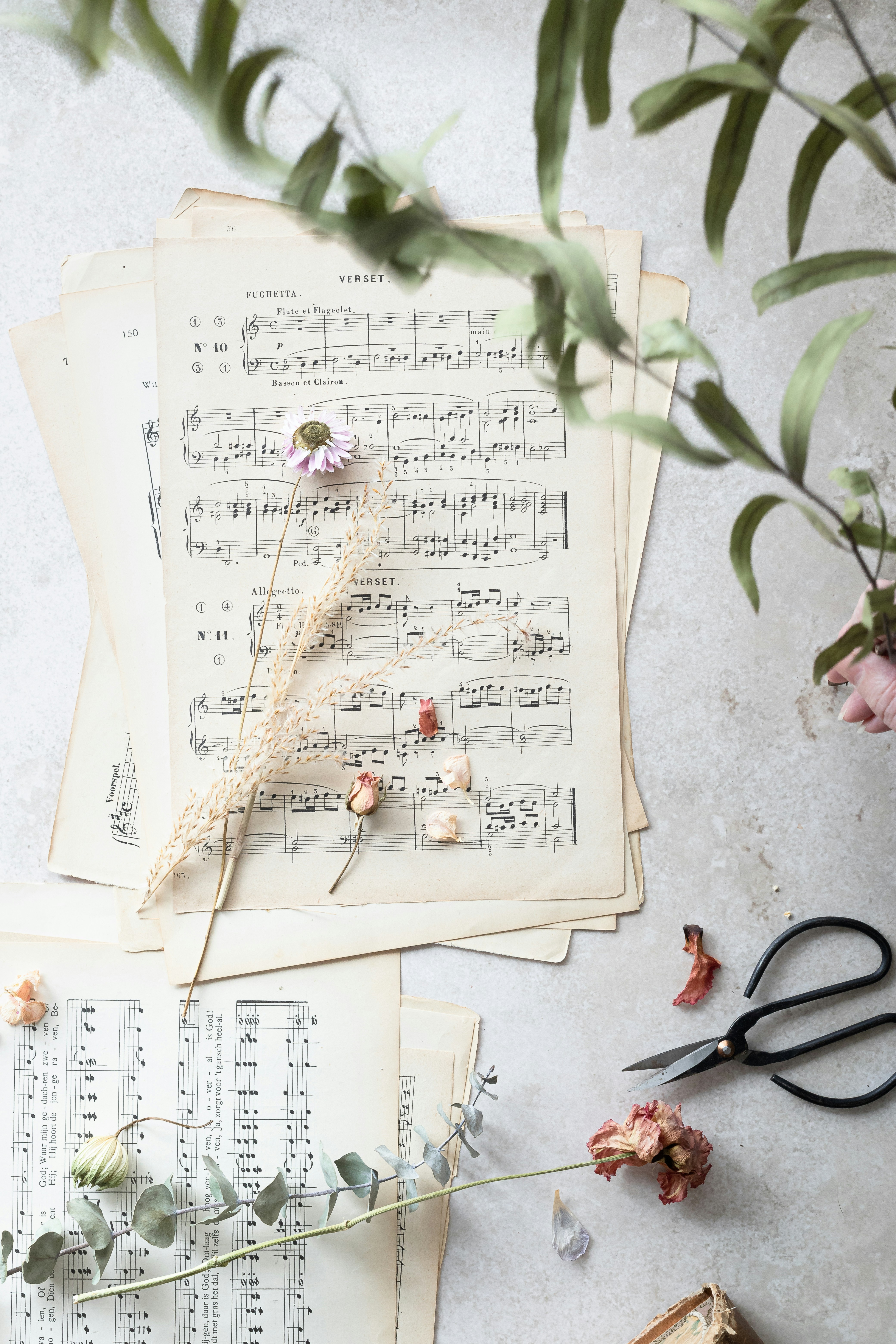 Sheet Music & Audio Products