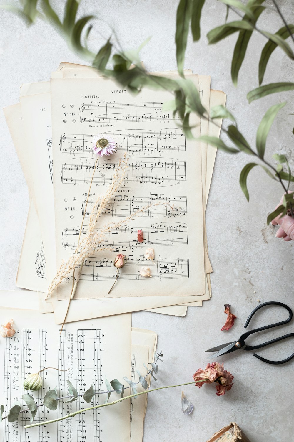 a sheet of music with flowers and a pair of scissors