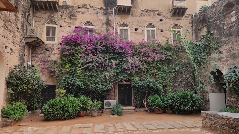 a building with a bunch of flowers growing on it