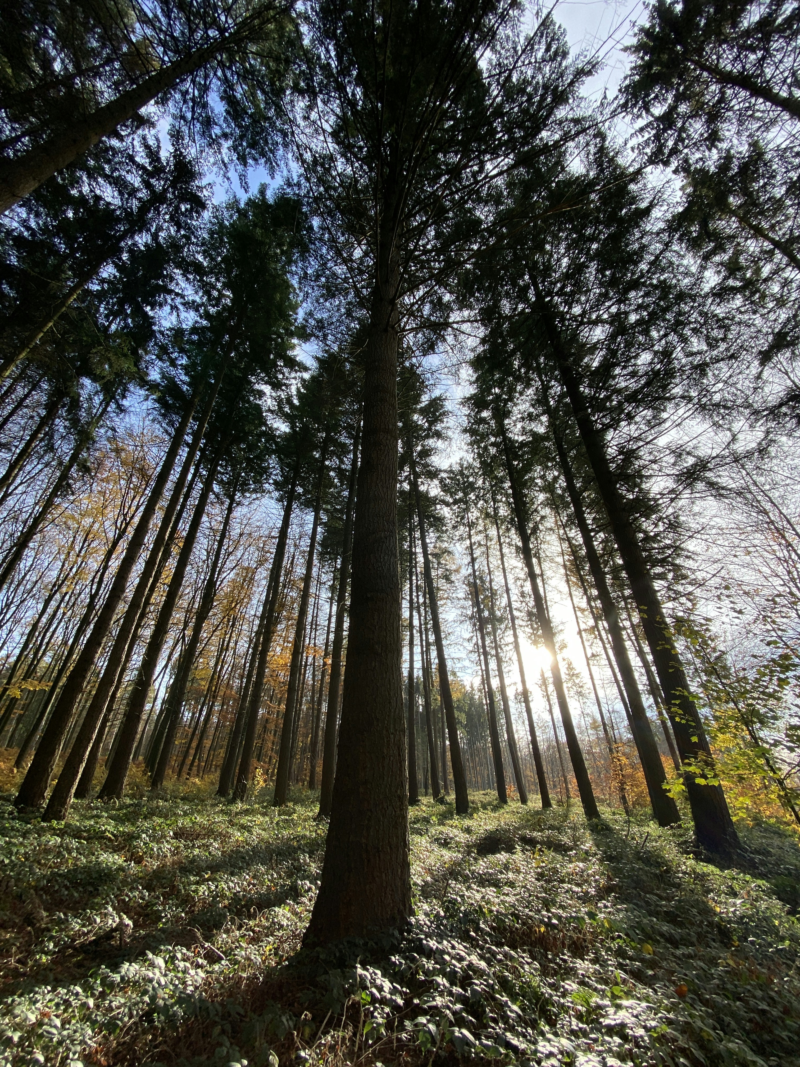 Photo by filipp_roman_photography