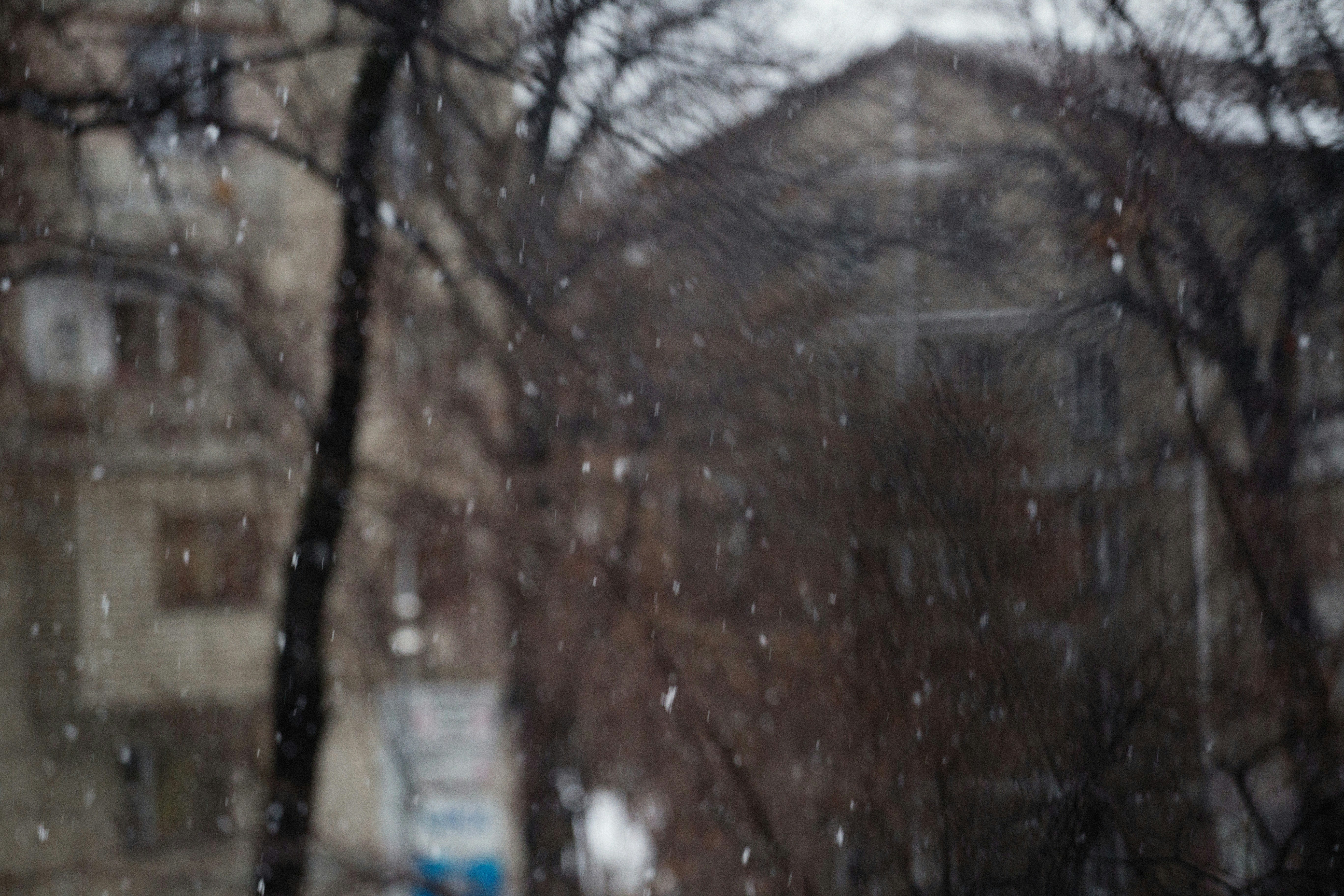 Photo by alexeydemidov