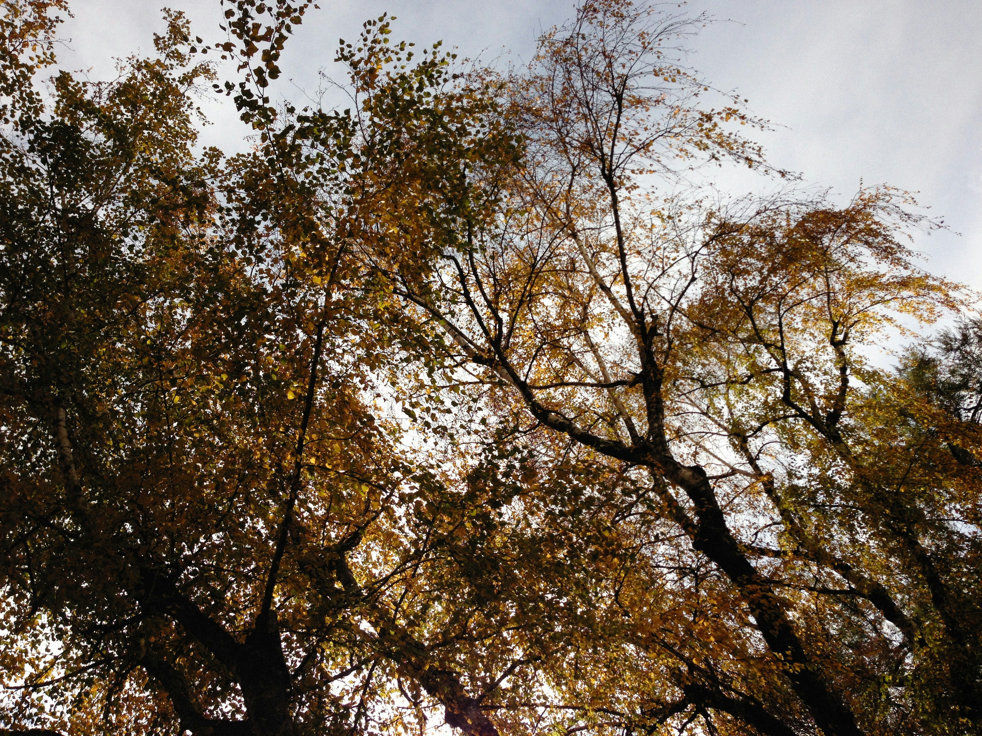 Photo by alexeydemidov