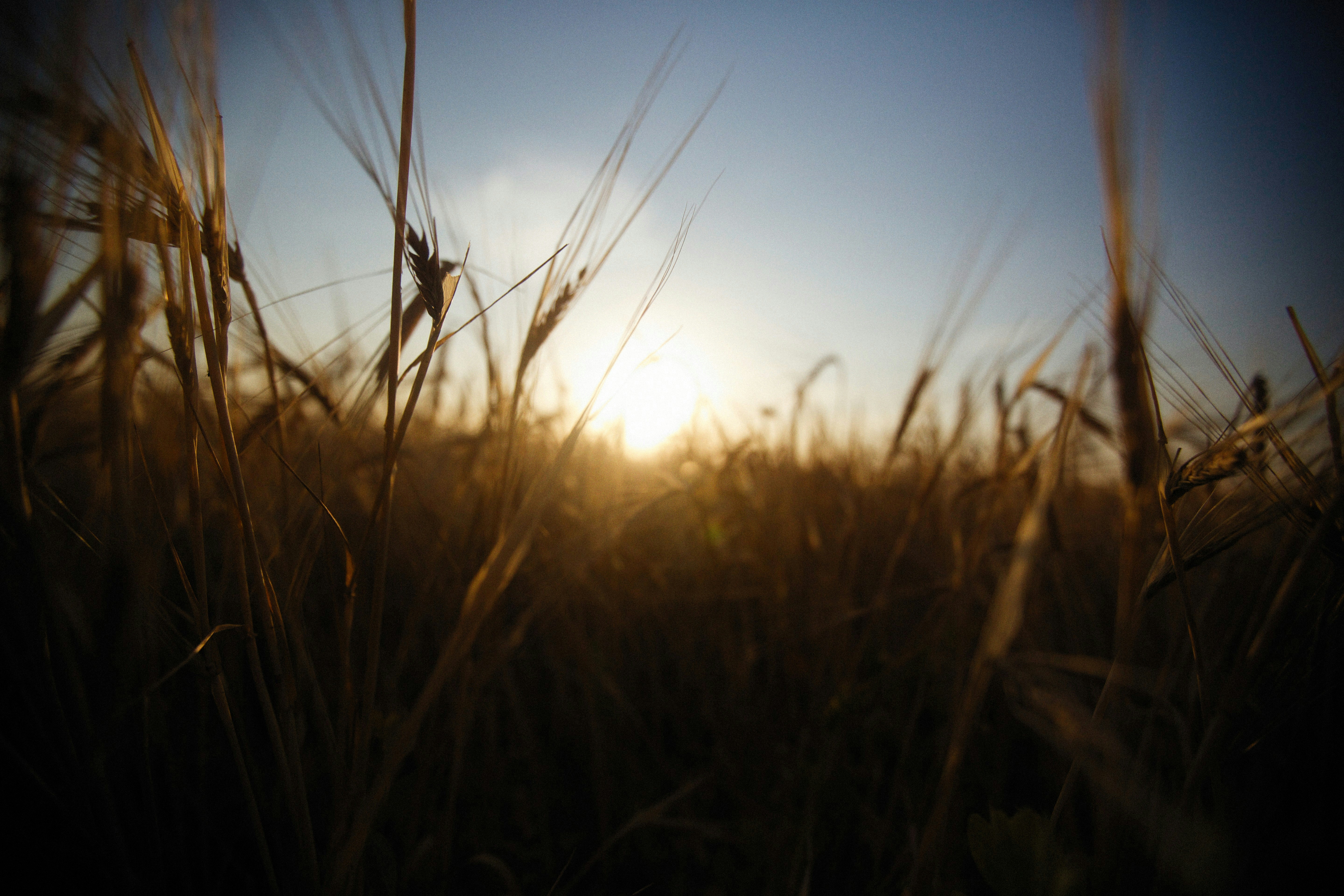 Photo by alexeydemidov