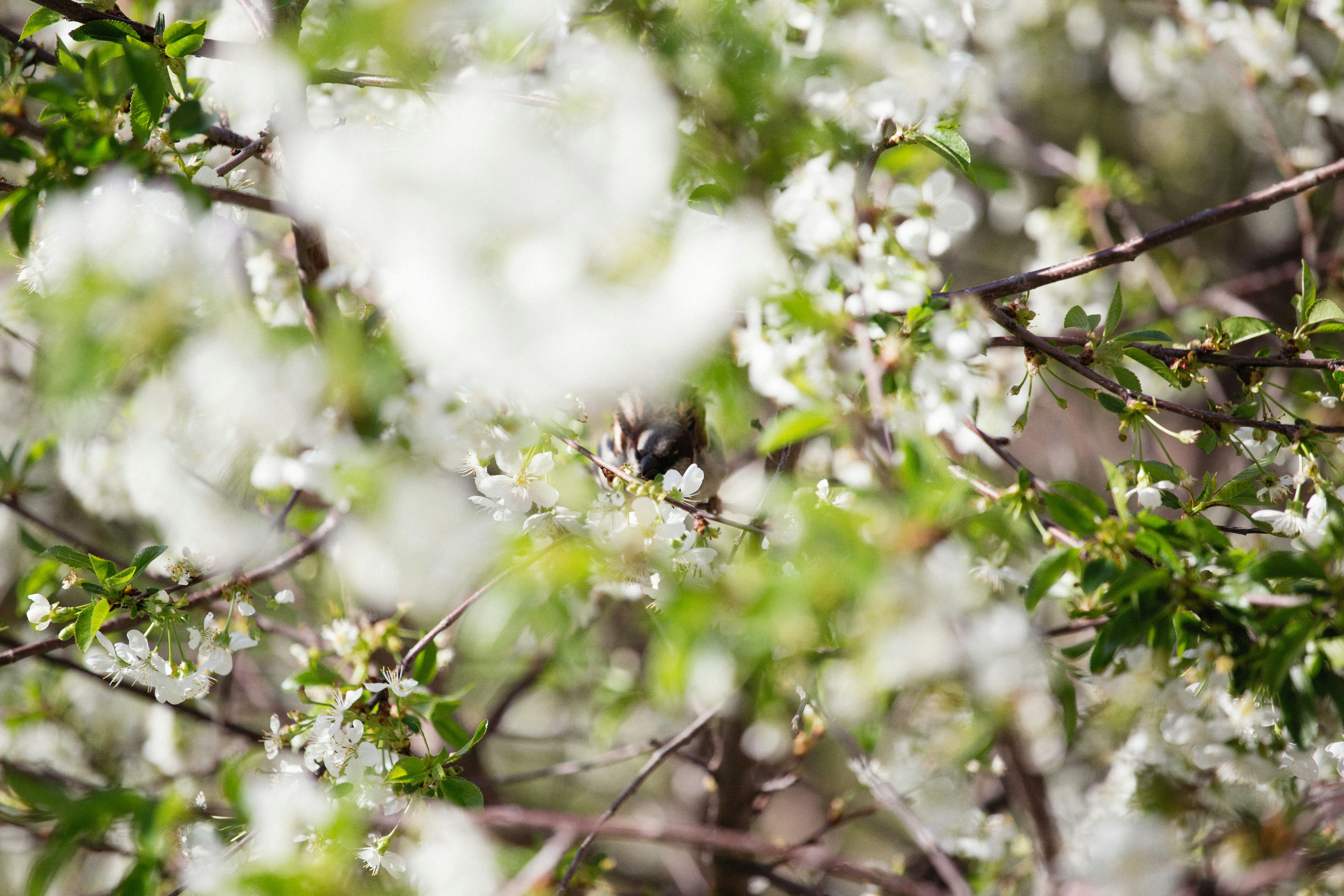 Photo by alexeydemidov