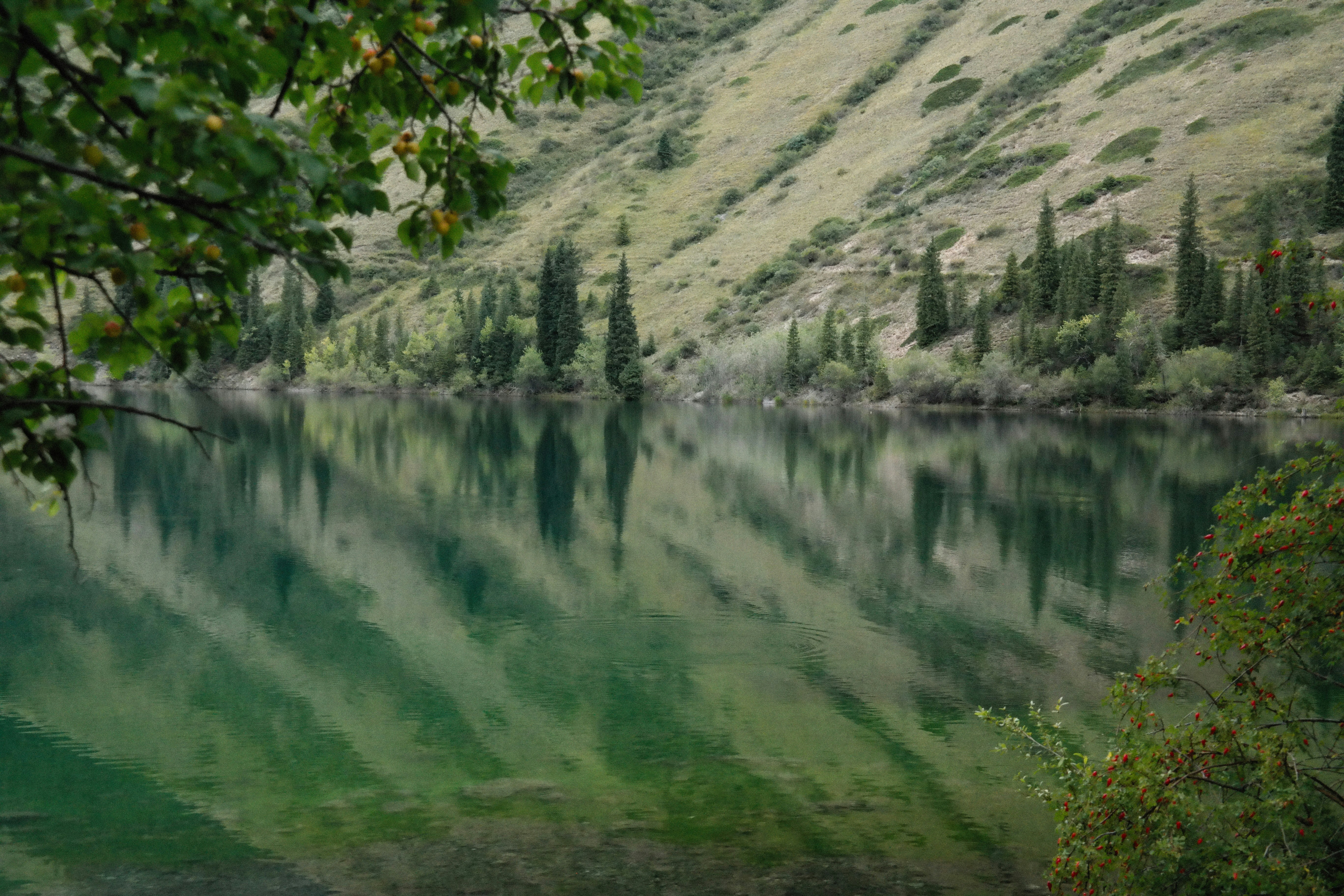 Photo by alexeydemidov