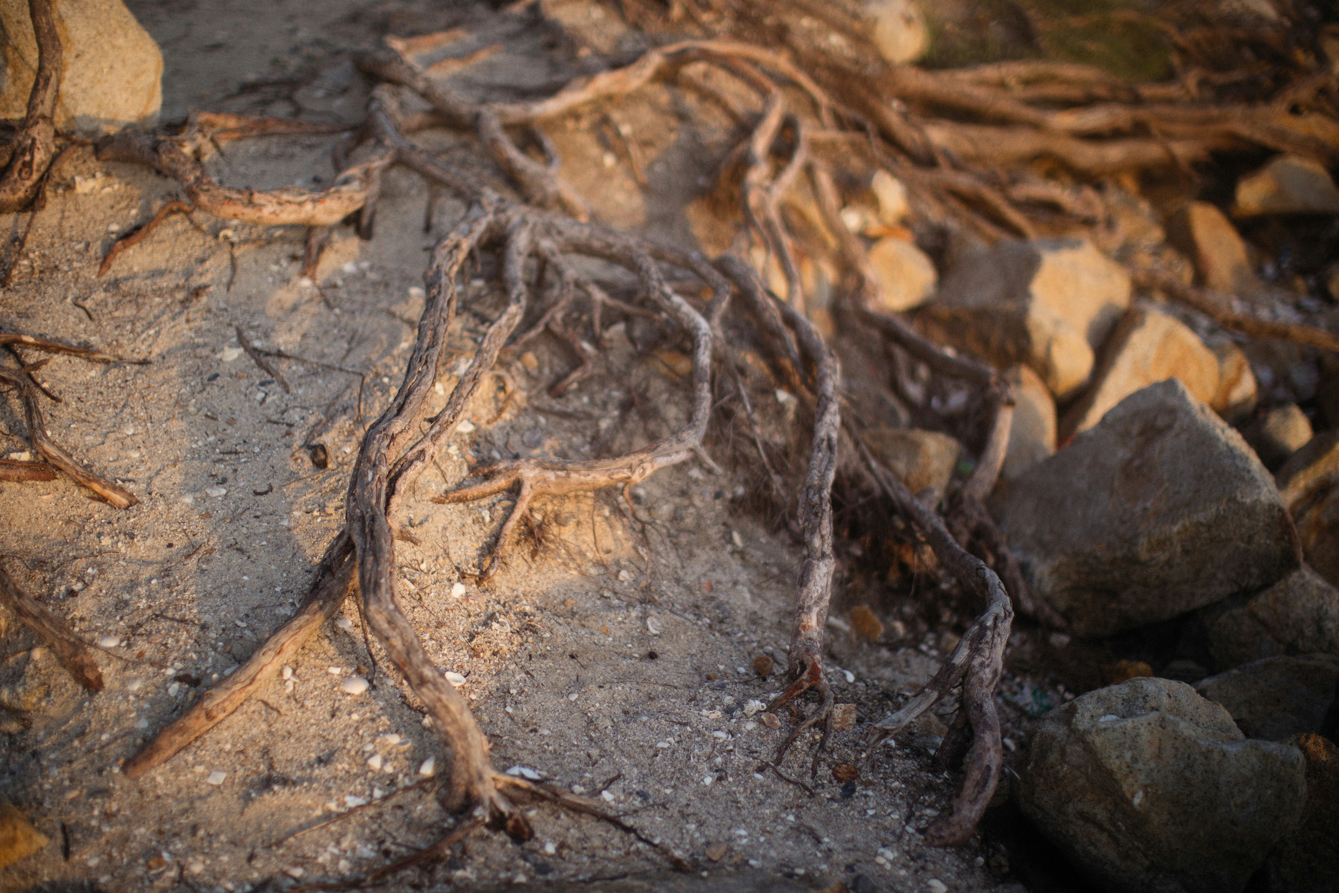 Photo by alexeydemidov