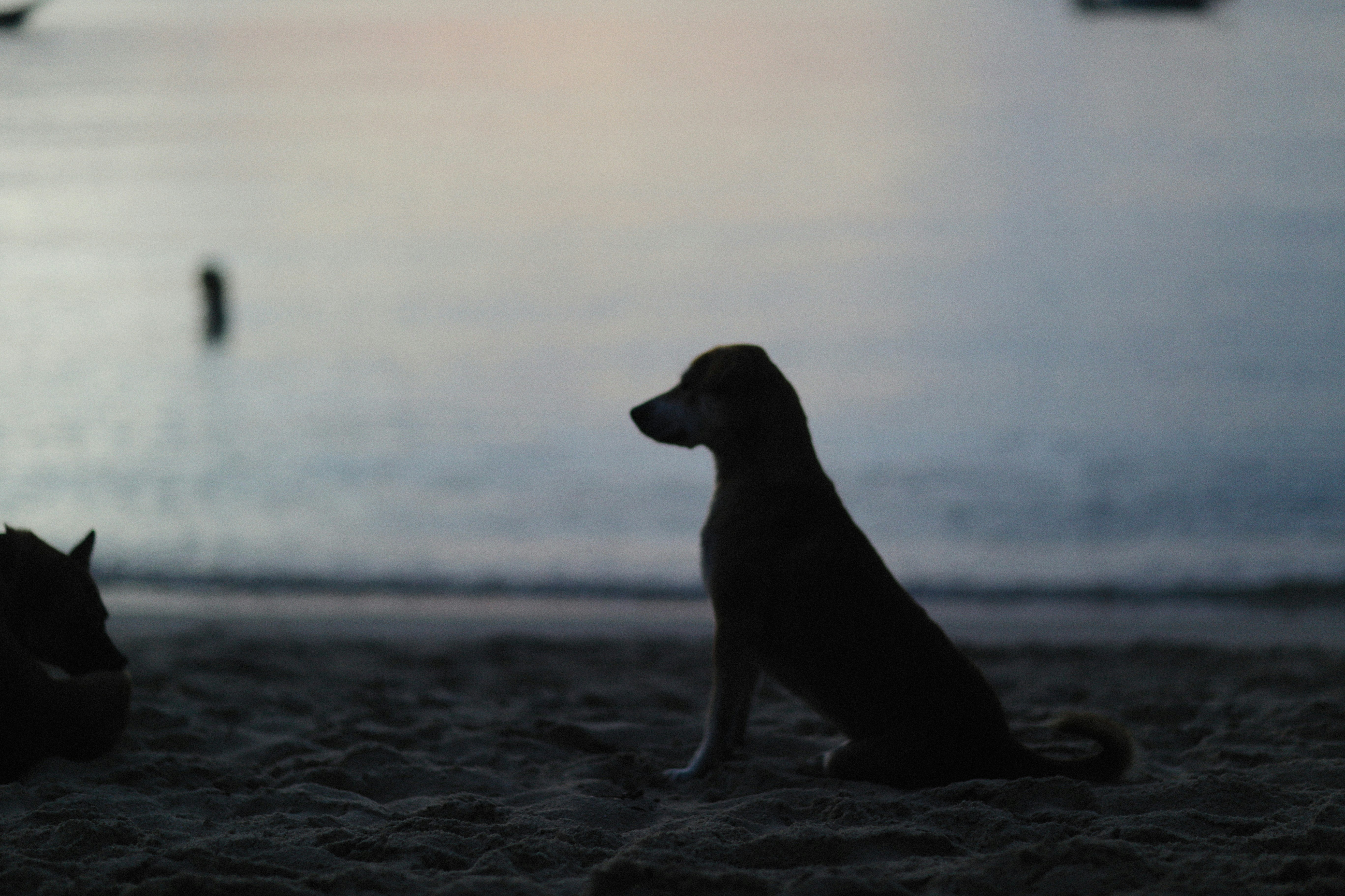 Photo by alexeydemidov