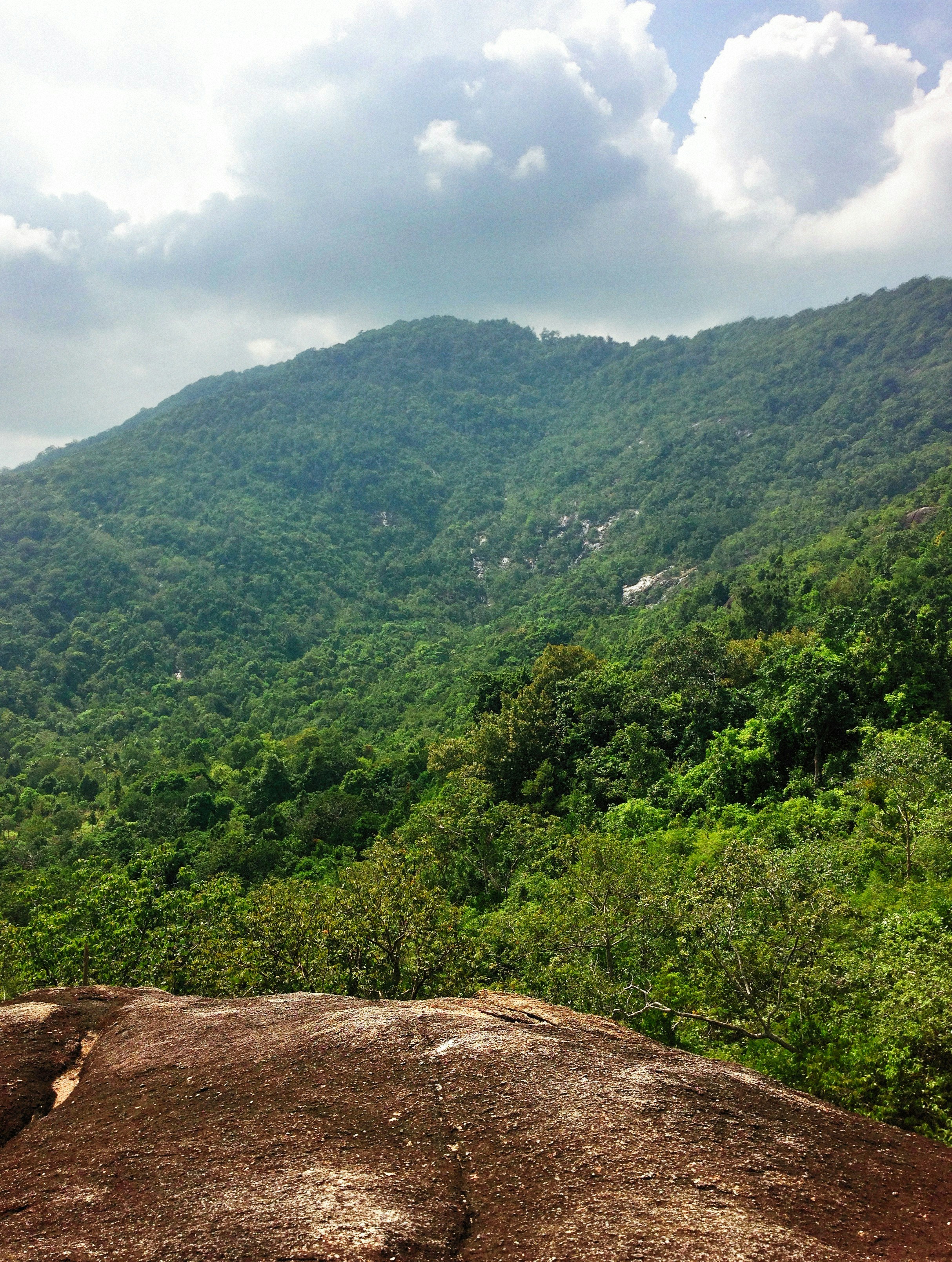 Photo by alexeydemidov