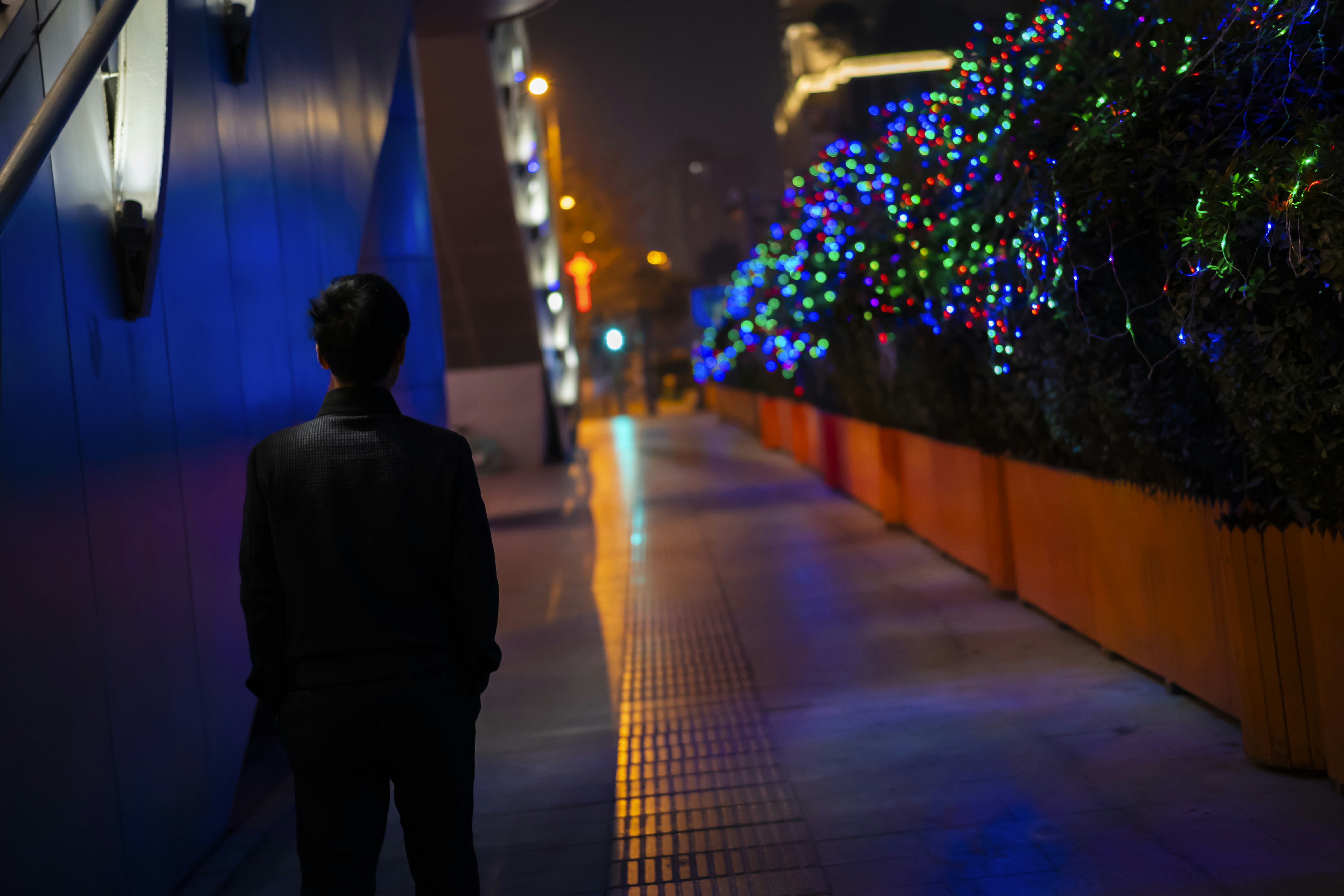 凤屏 Pictures | Download Free Images on Unsplash