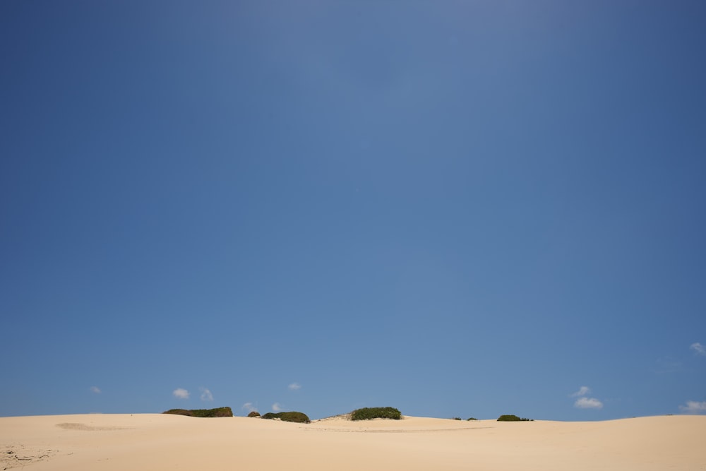 a clear blue sky over a sand dune