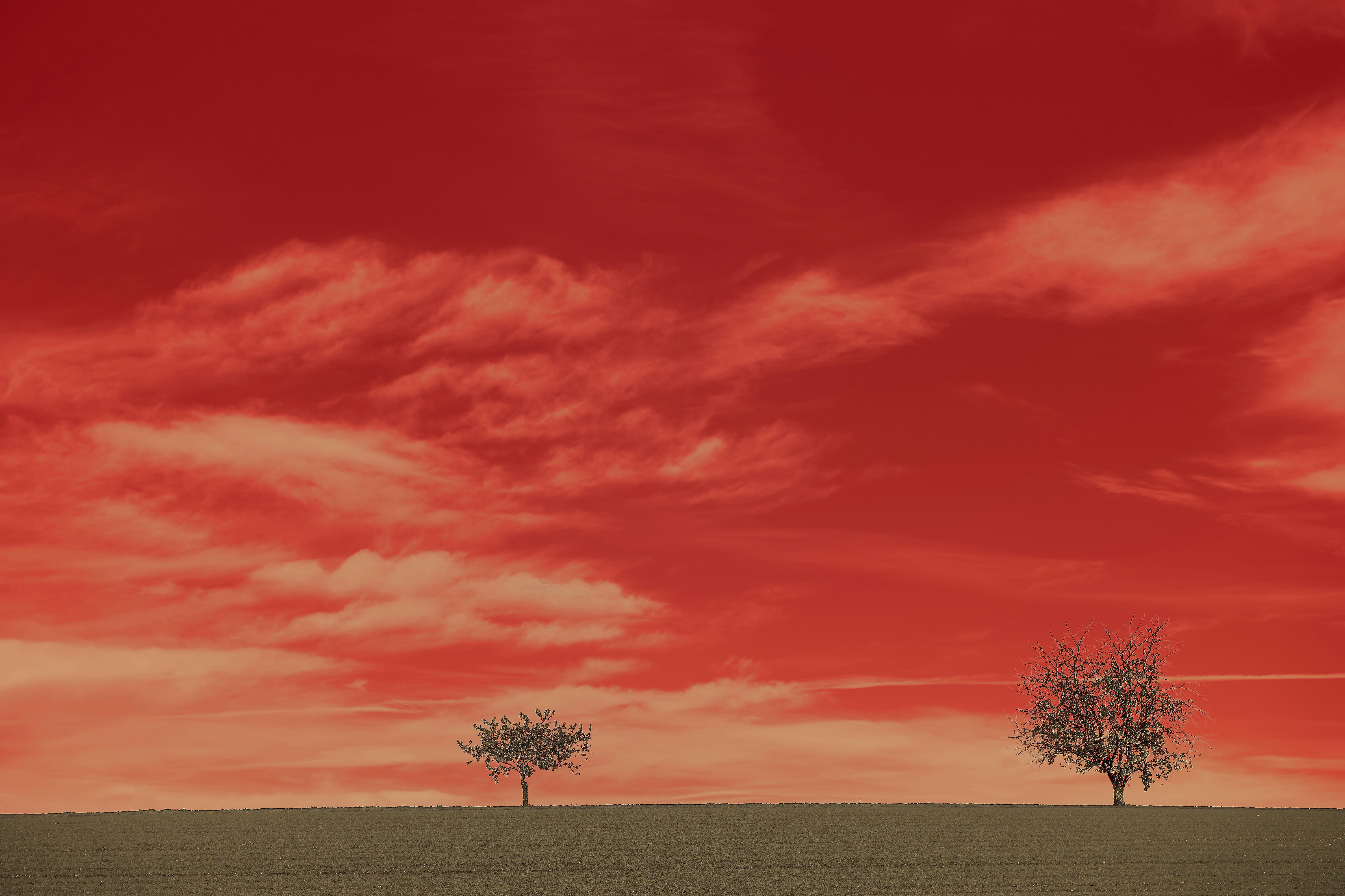 Photo by wolfgang_hasselmann