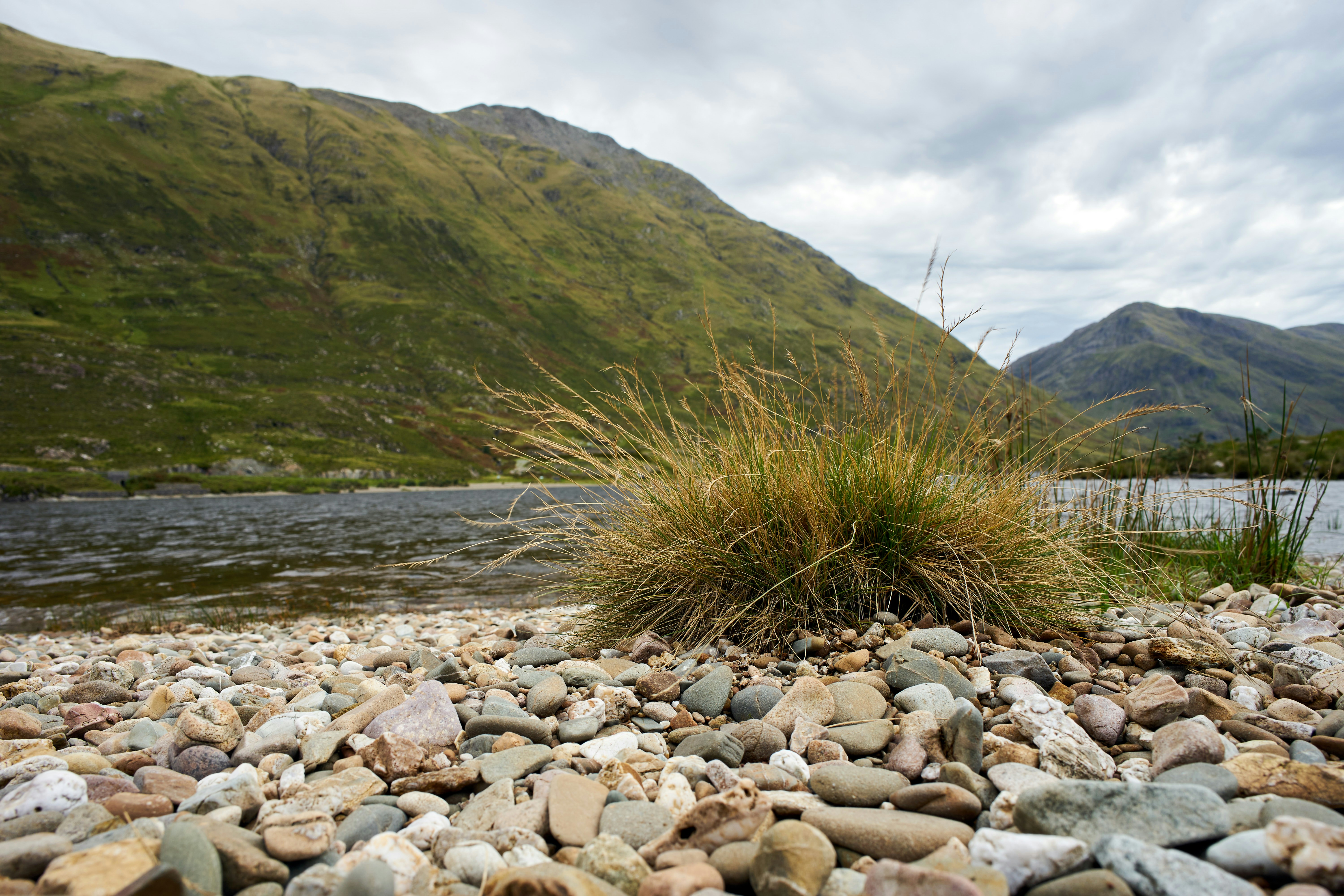 Photo by wolfgang_hasselmann