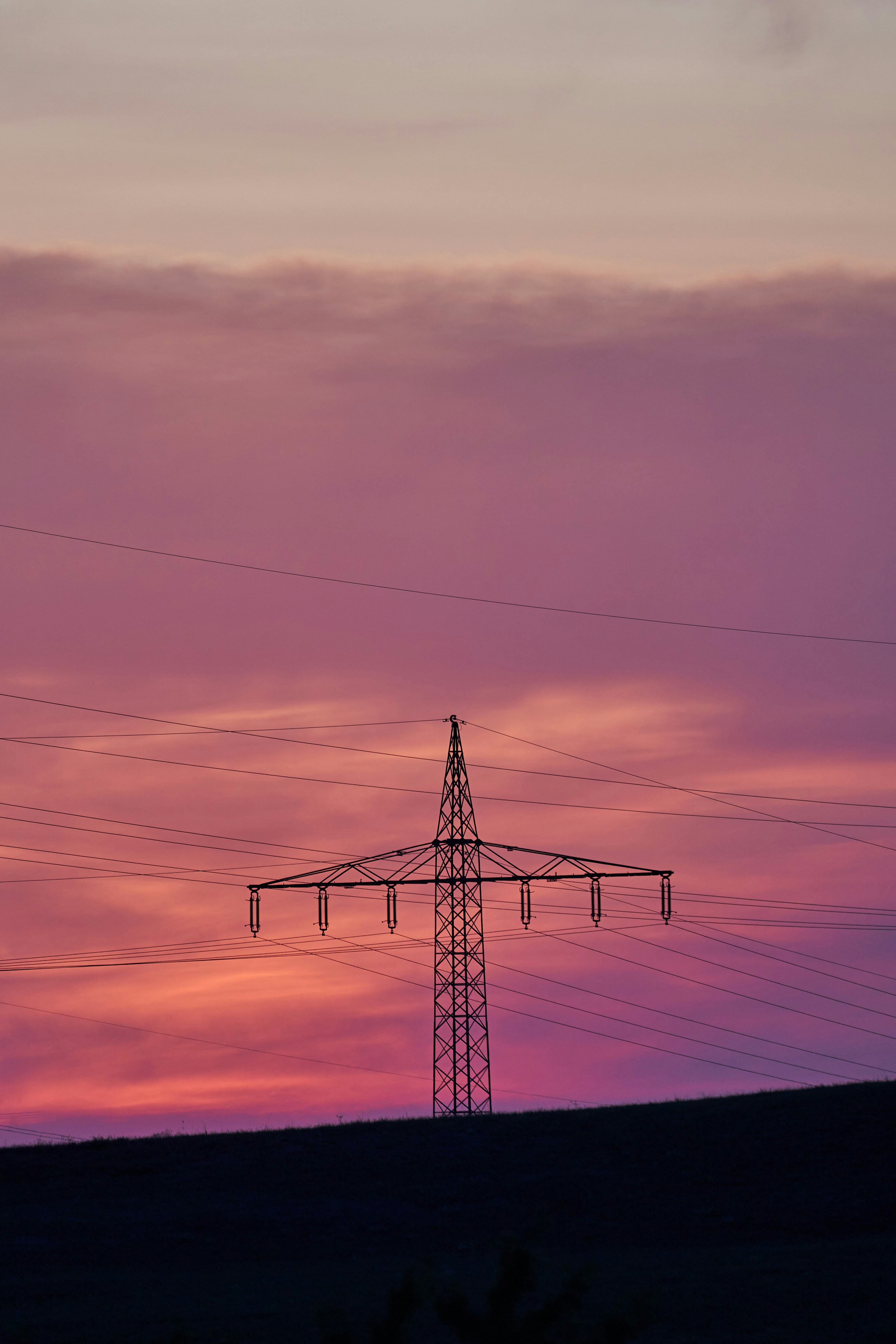 Photo by wolfgang_hasselmann