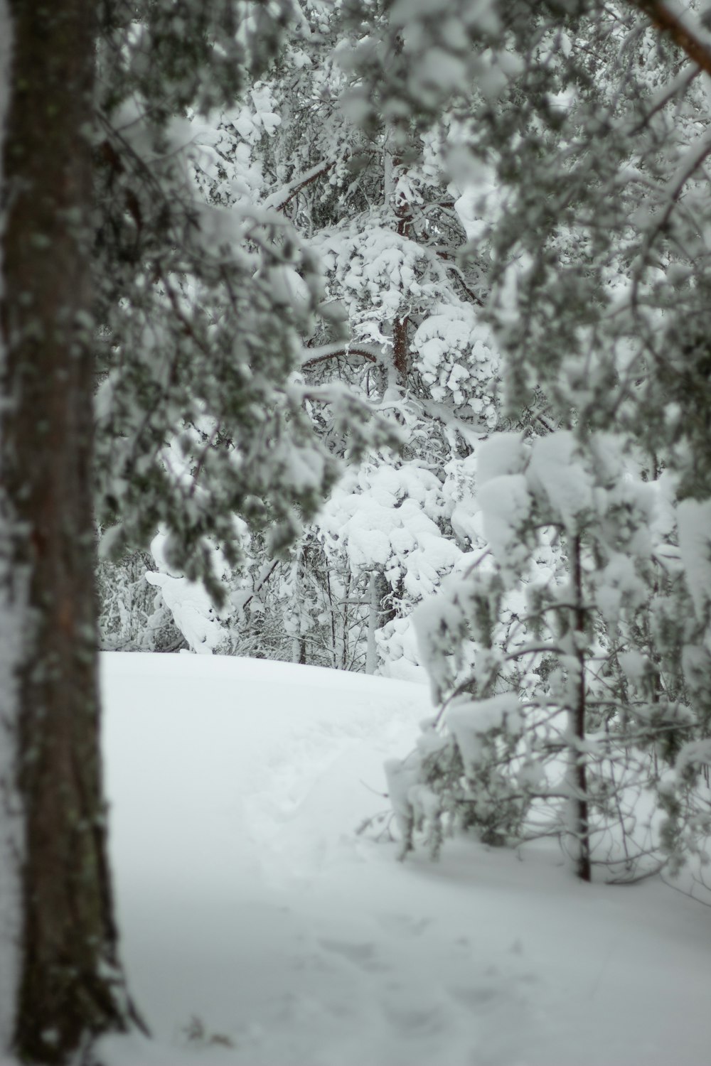 a person riding a snowboard down a snow covered slope