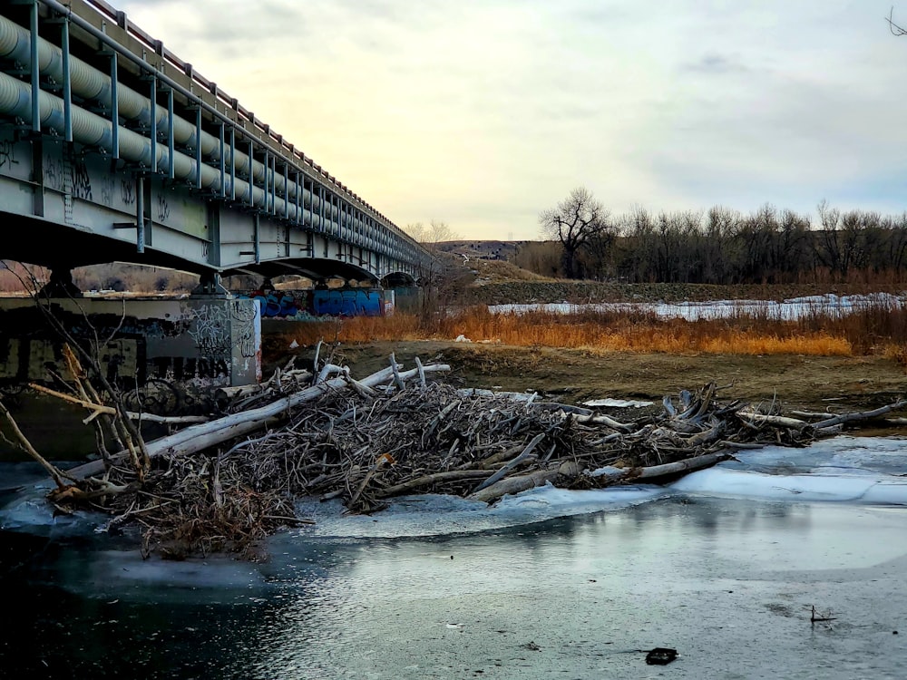 a bridge over a body of water next to a bunch of trees