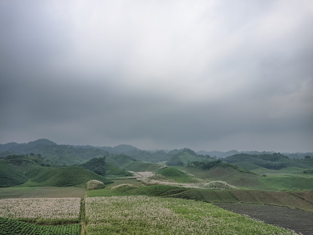 a view of a field with mountains in the background