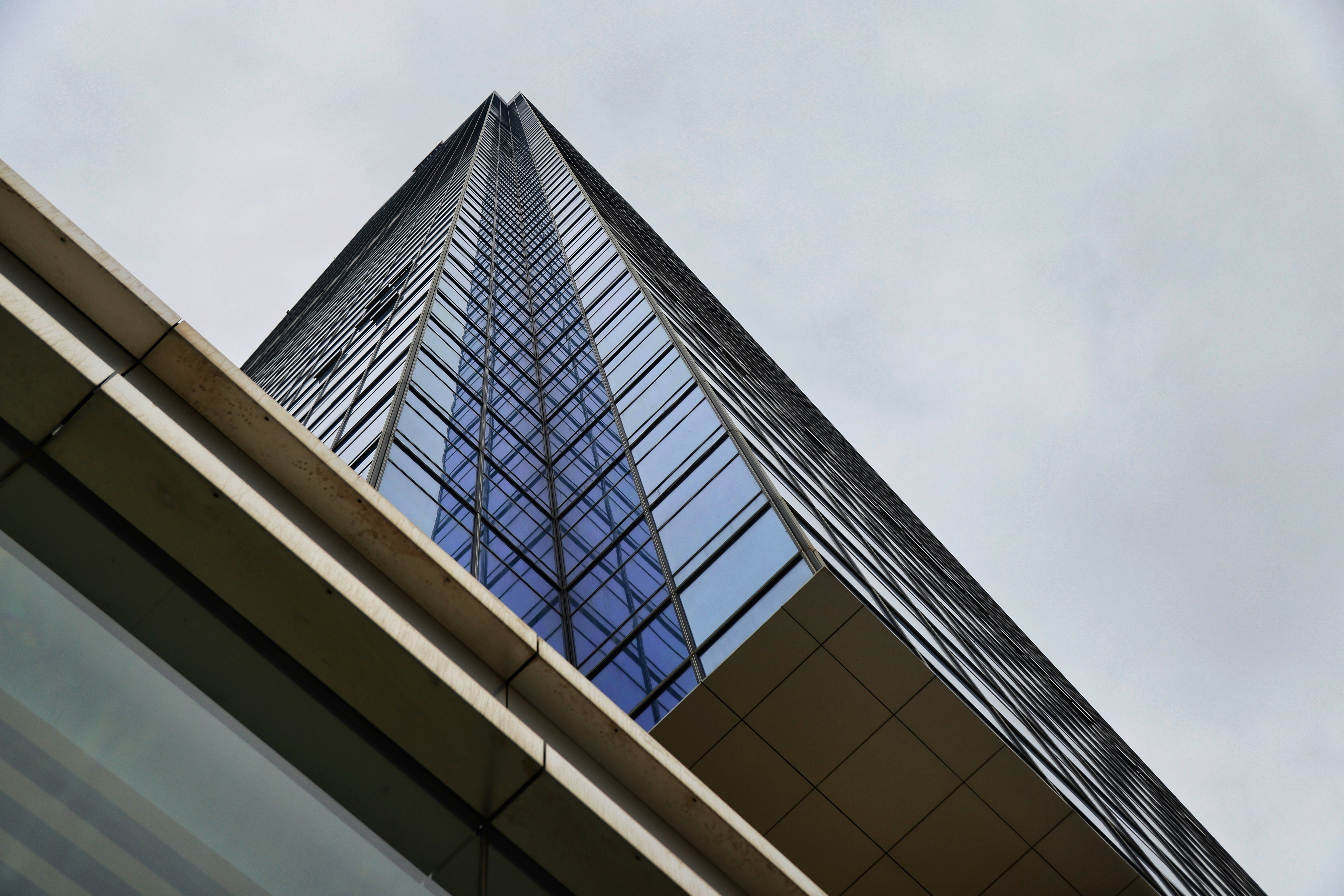 Photo by dickenslin76