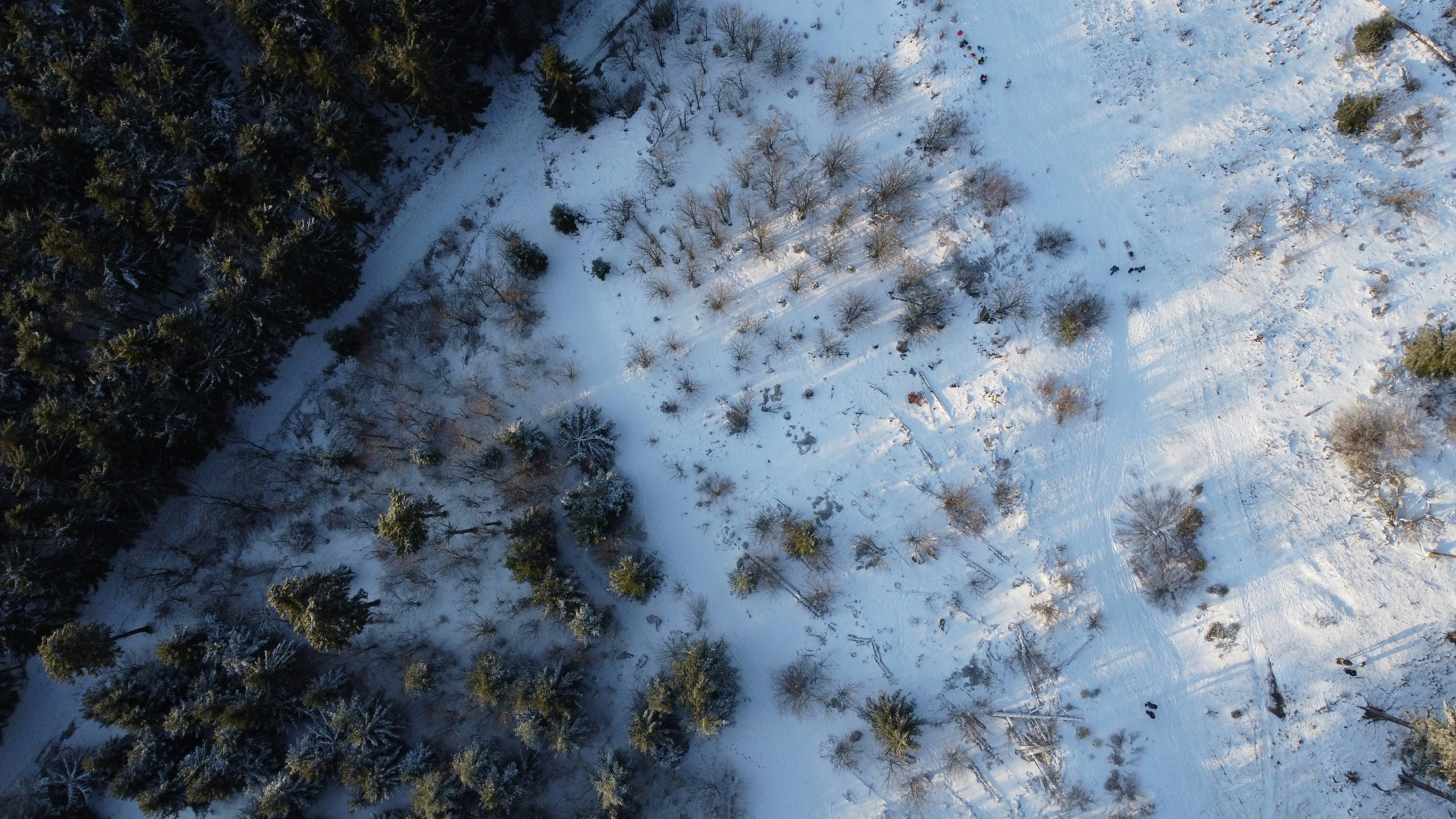 Photo by masoodaslami