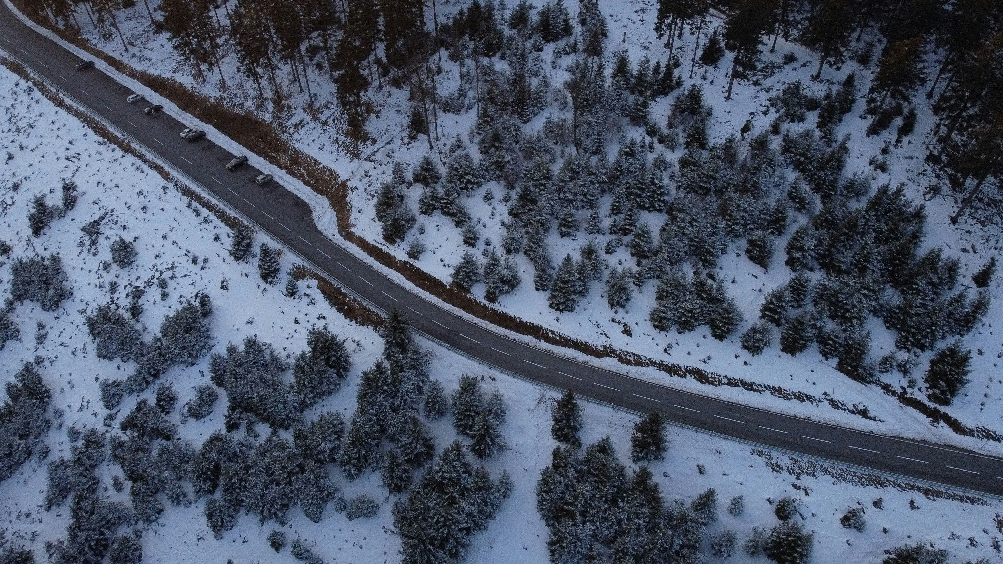 Photo by masoodaslami