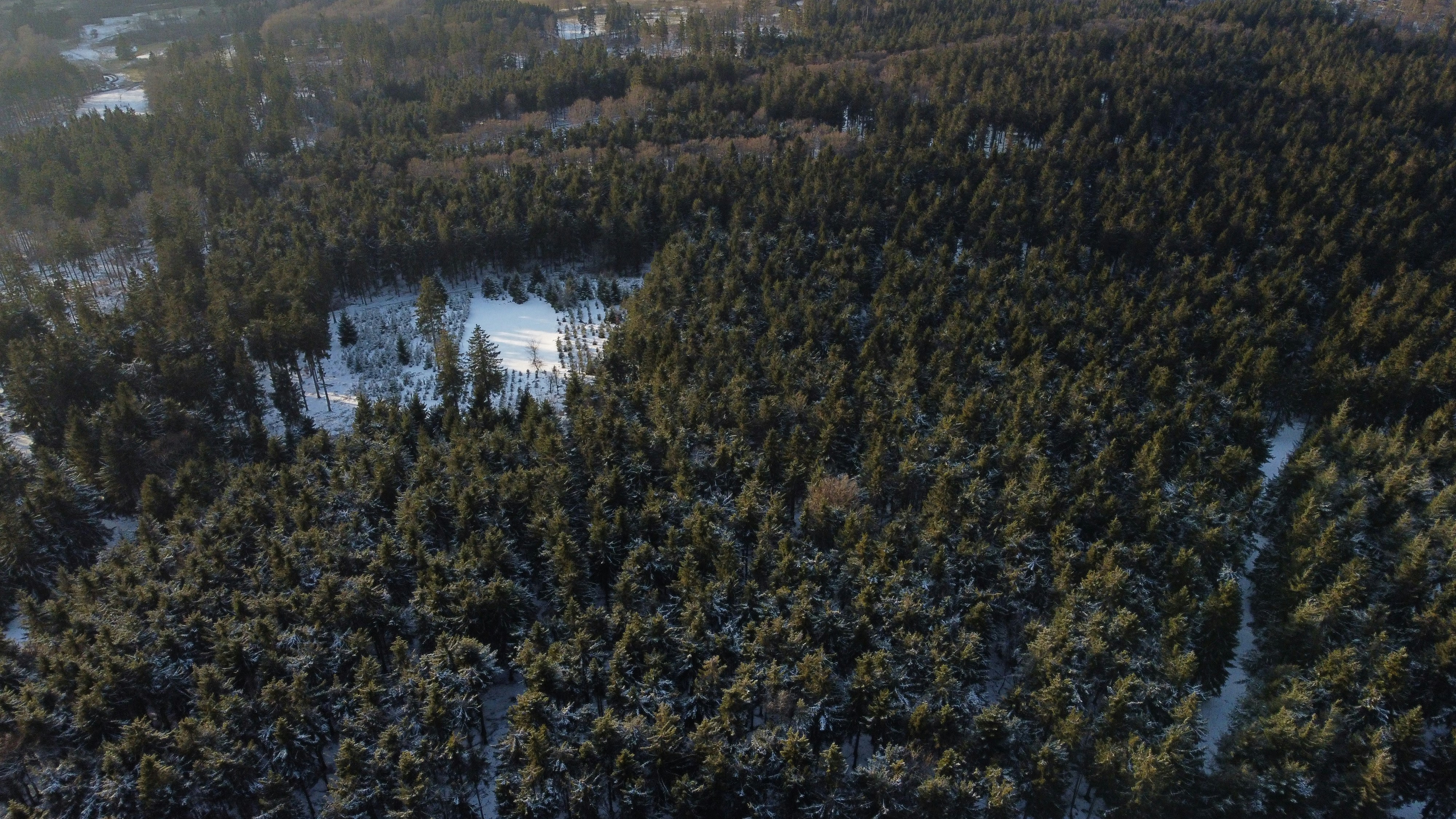 Photo by masoodaslami