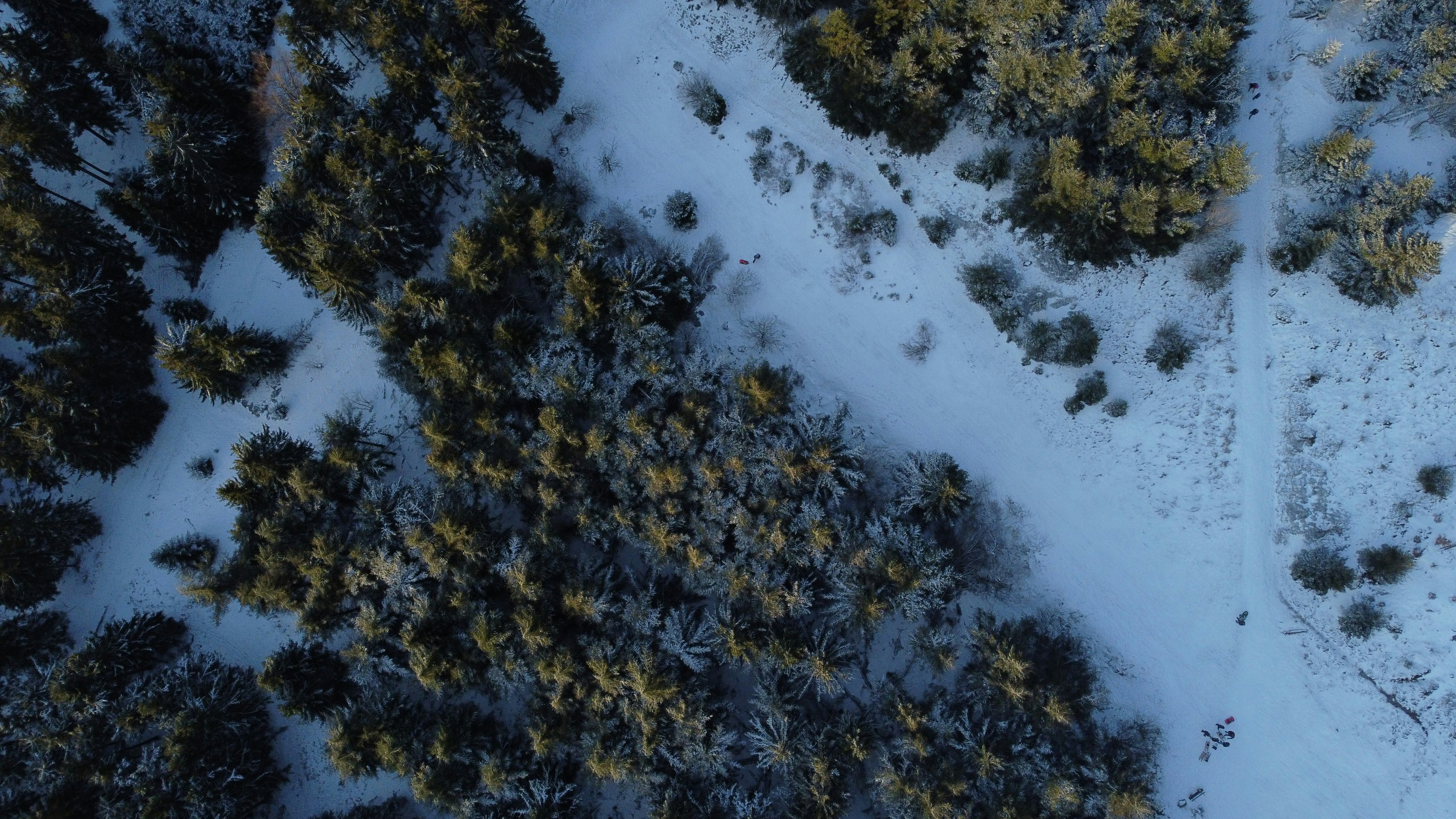 Photo by masoodaslami