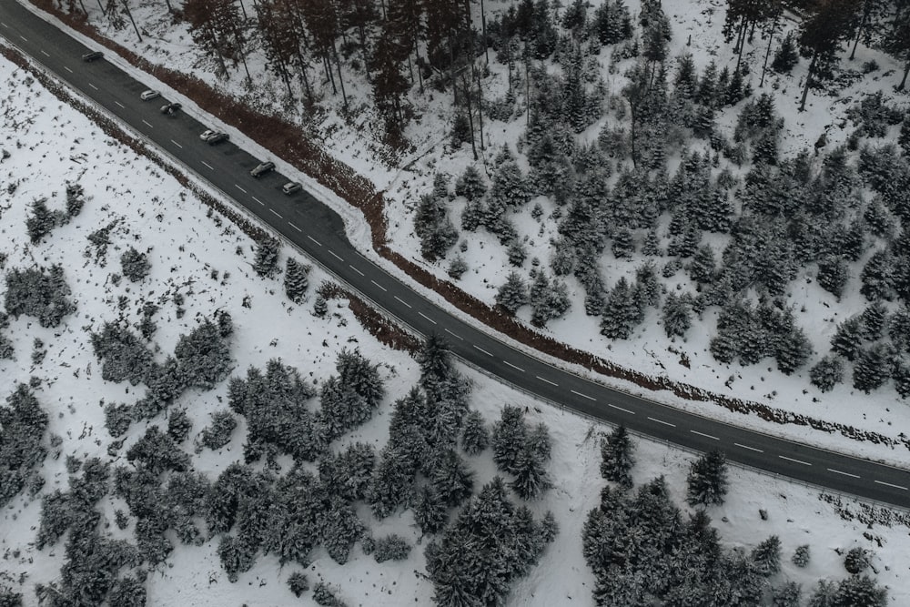 an aerial view of a road surrounded by trees