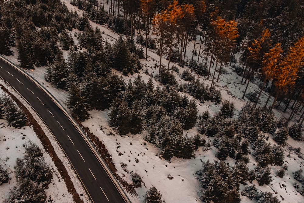 an aerial view of a road surrounded by trees