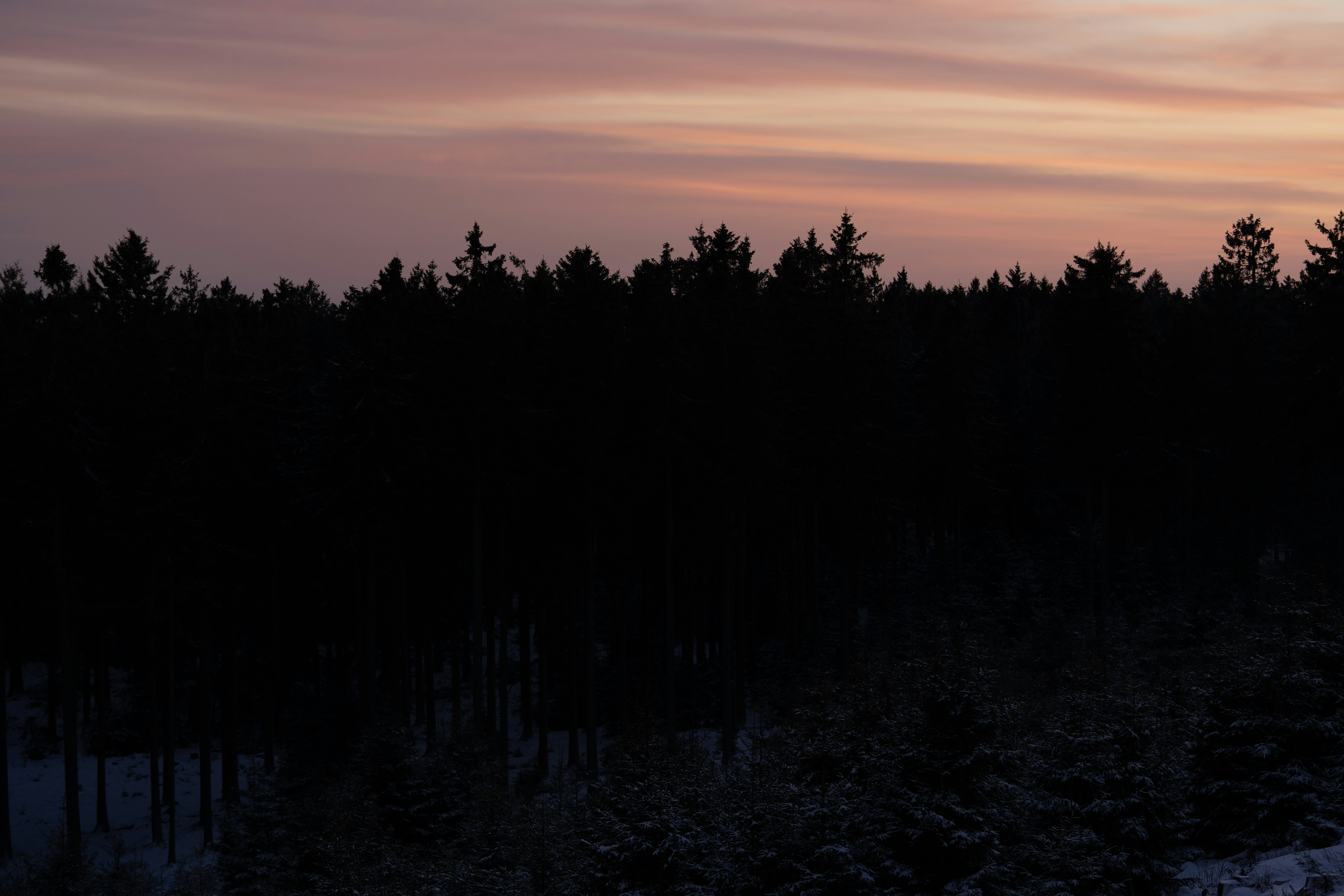 Photo by masoodaslami