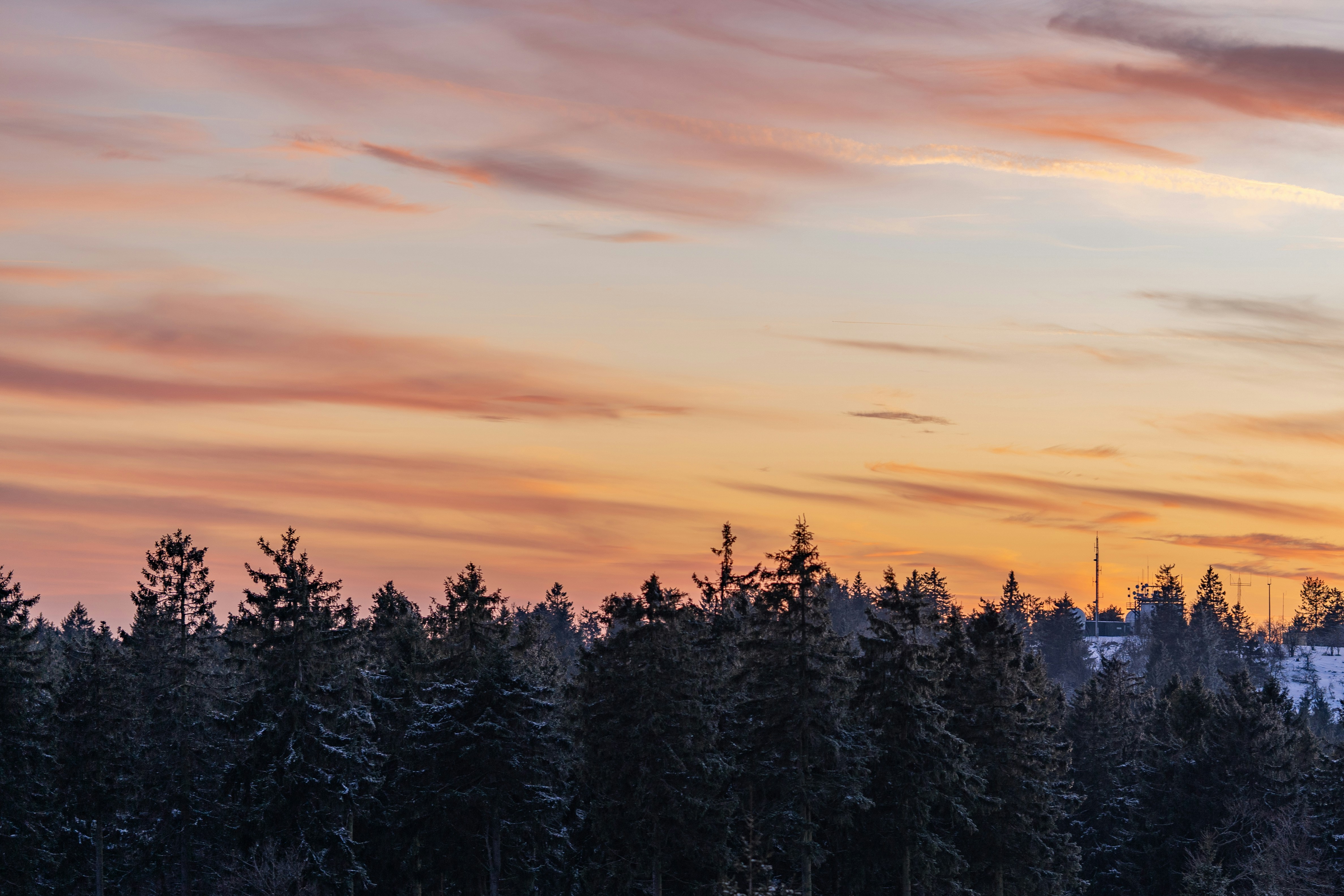 Photo by masoodaslami