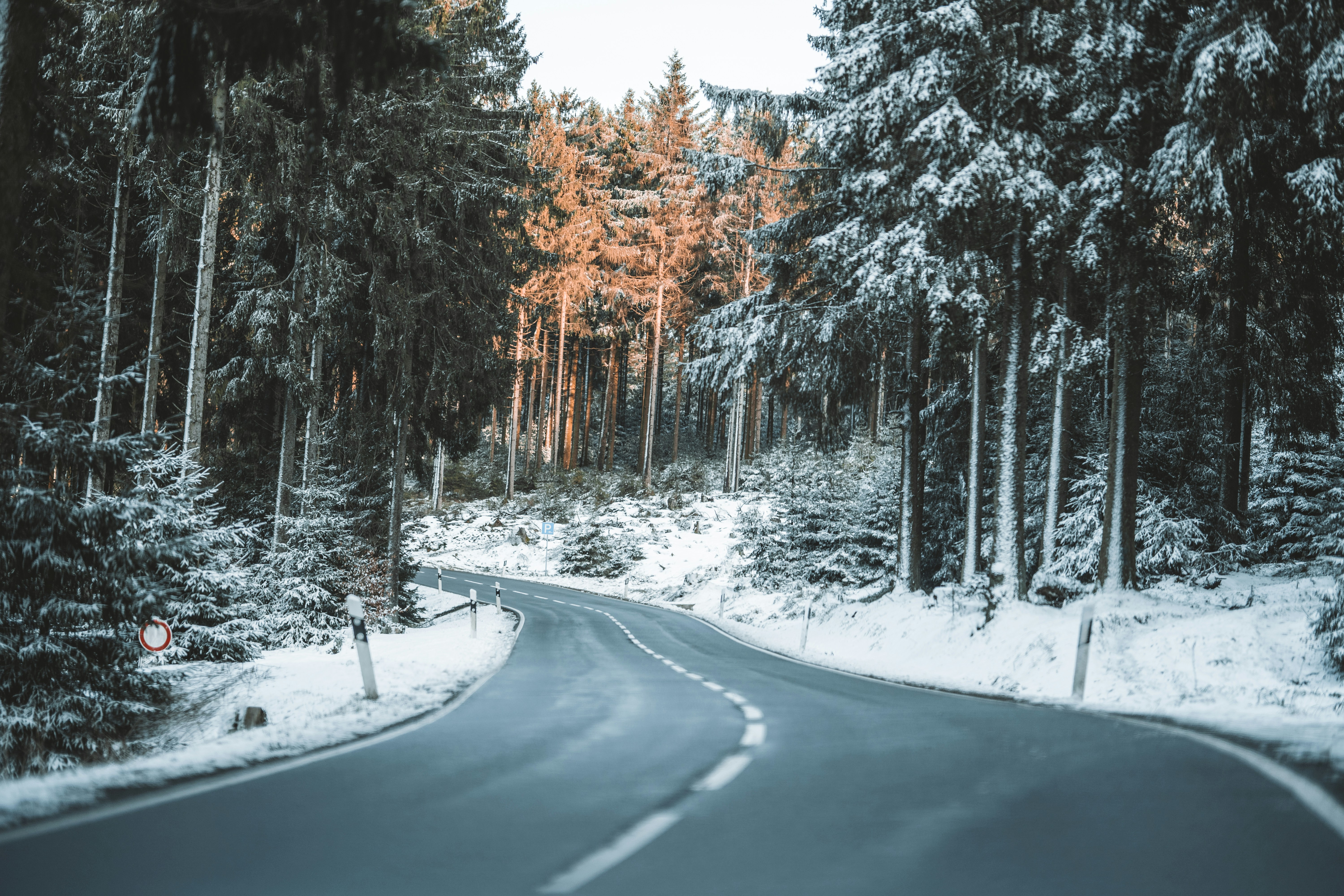 Photo by masoodaslami