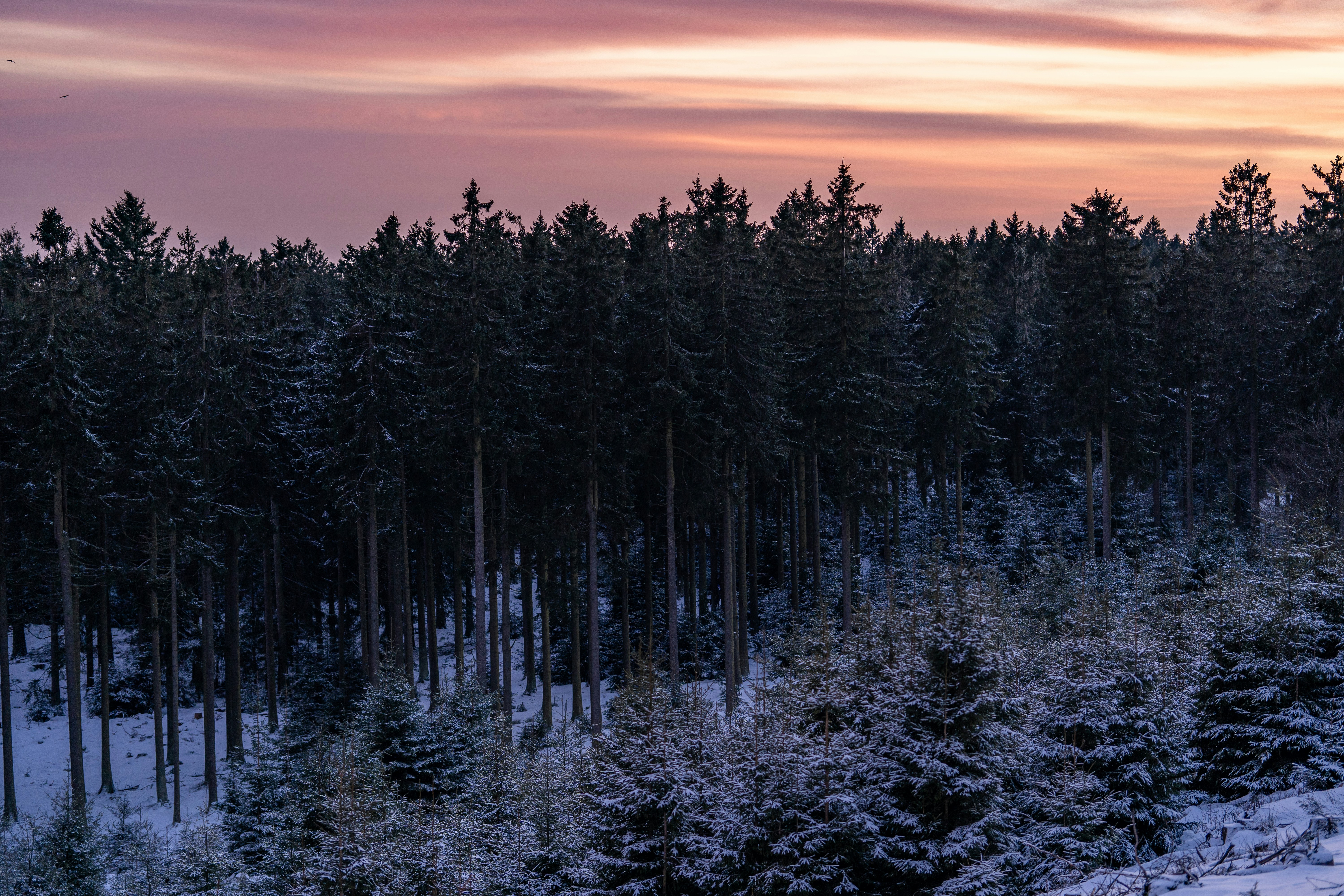 Photo by masoodaslami