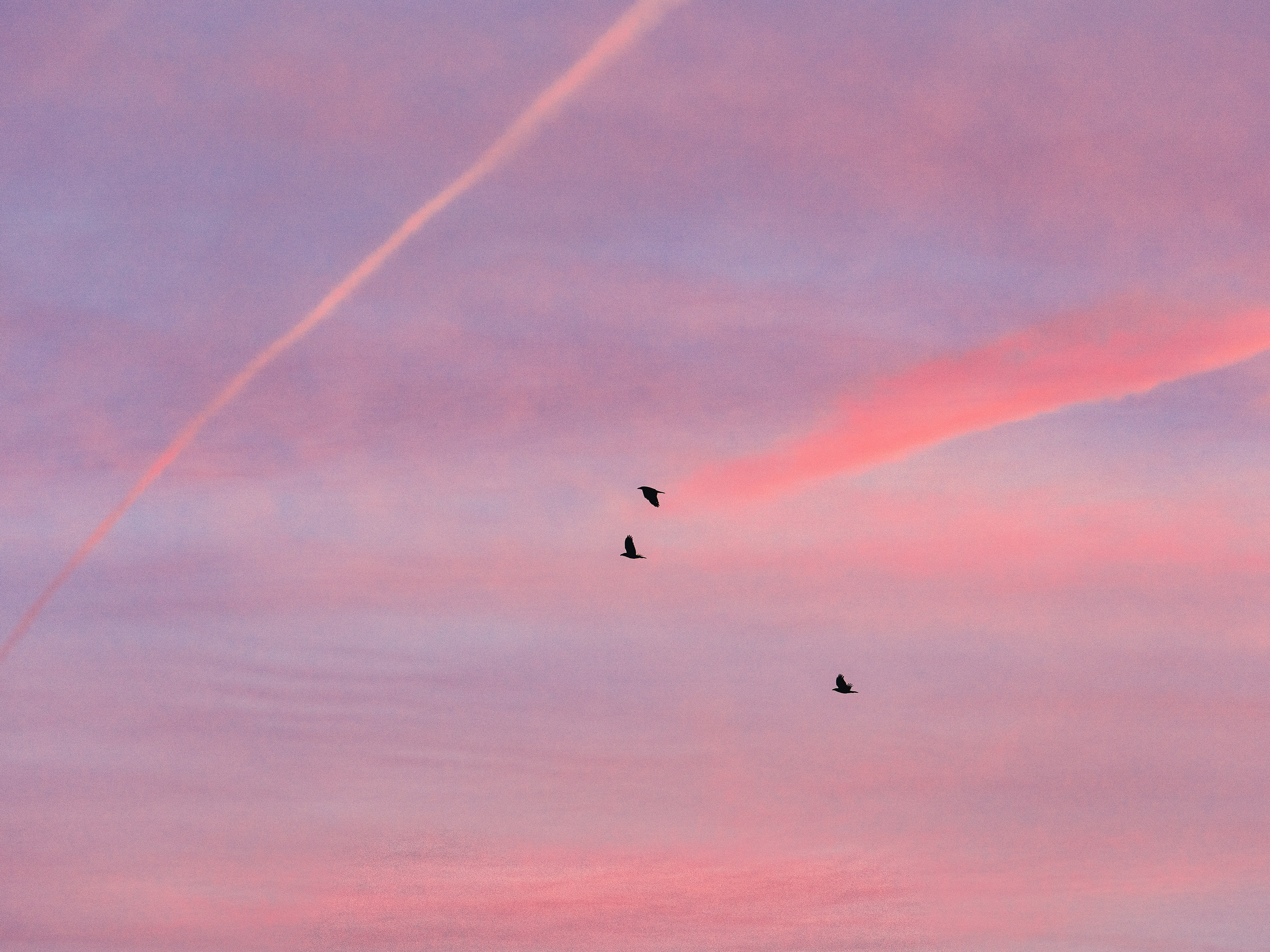 Photo by masoodaslami