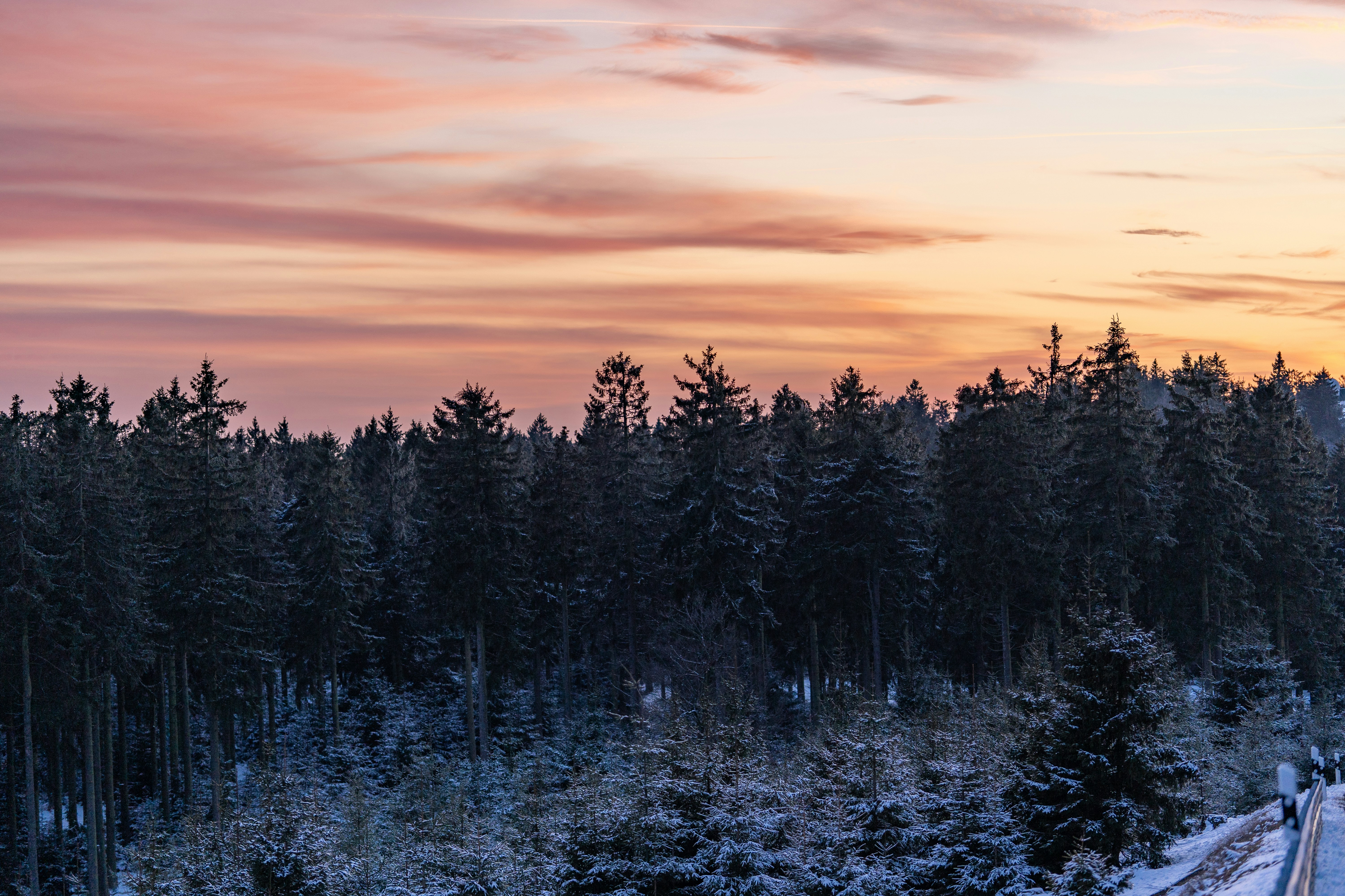 Photo by masoodaslami