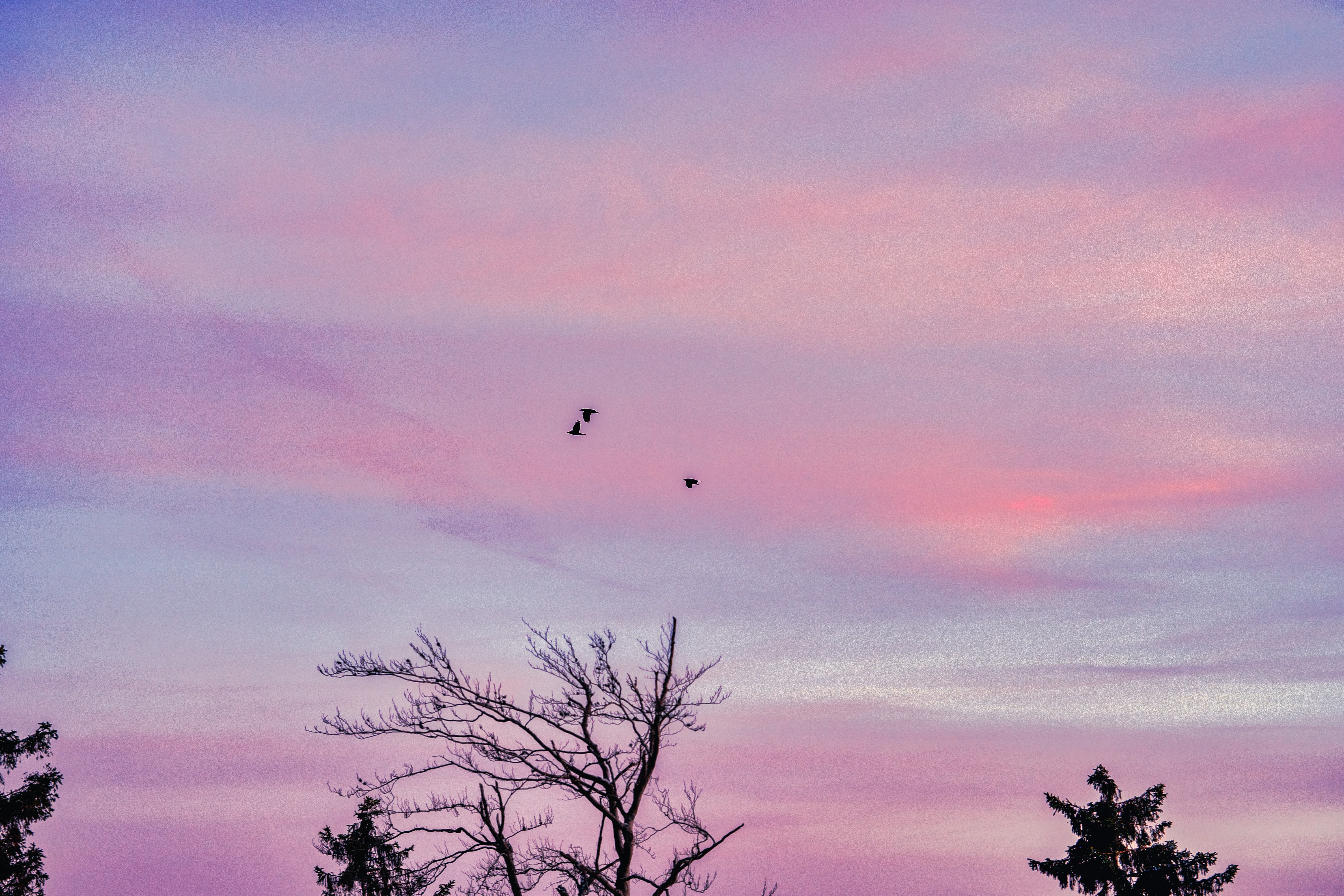 Photo by masoodaslami